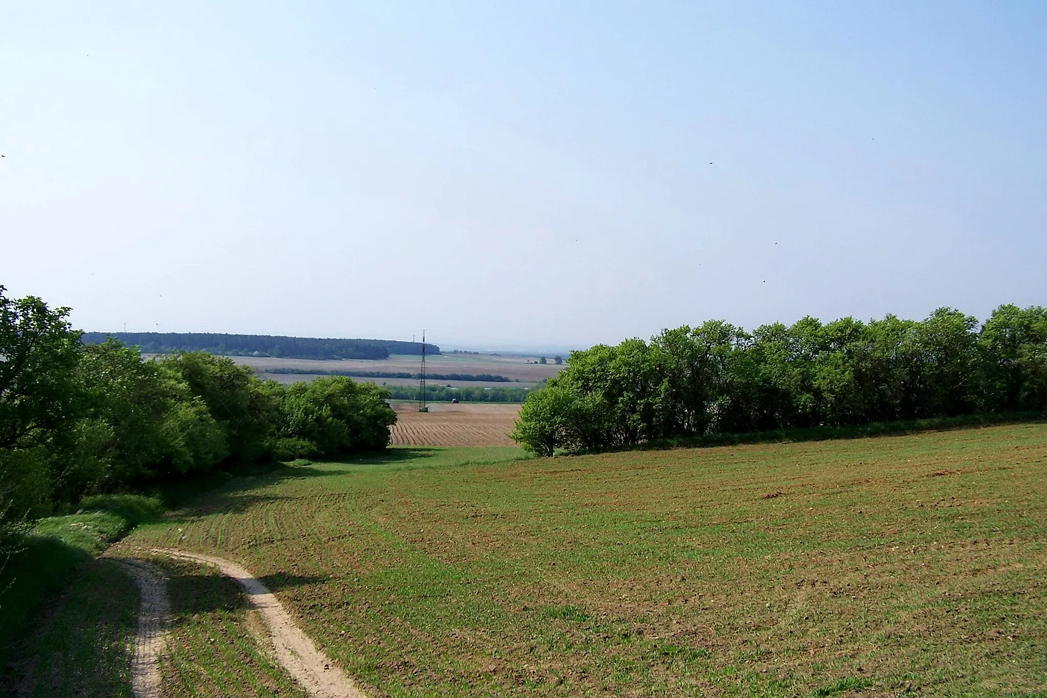 Photo showing: tará Lysá, pohled od Hraštice k Hrabanovu.