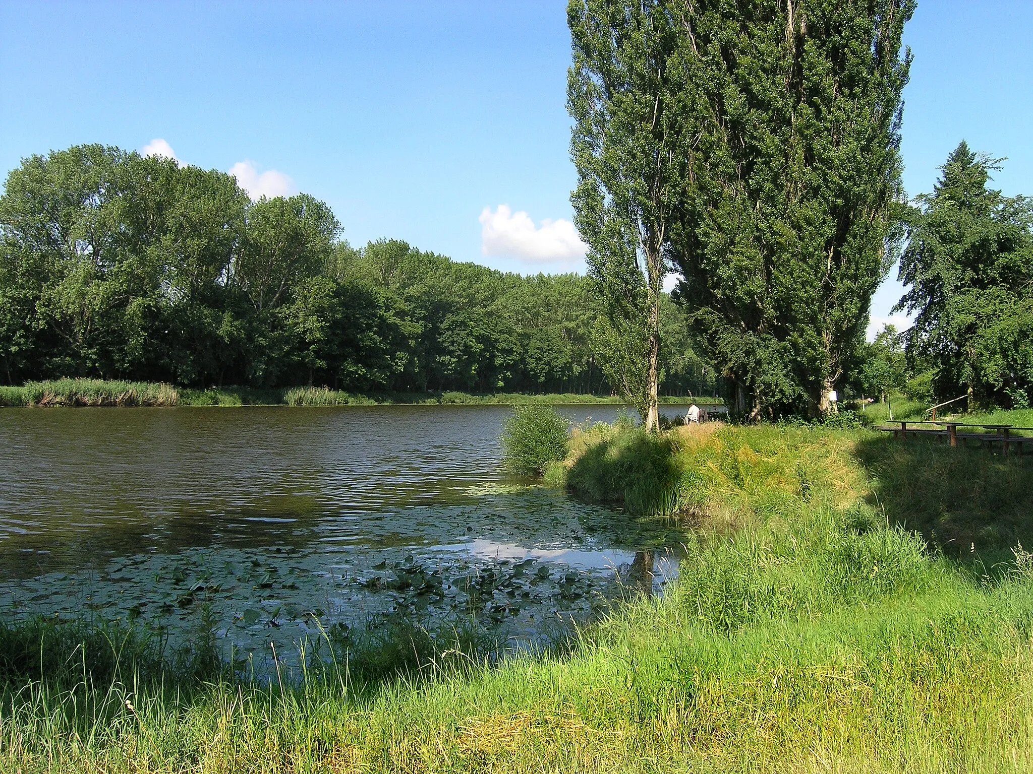 Photo showing: Elbe river in Velkém Zboží, part of Poděbrady, Czech Republic