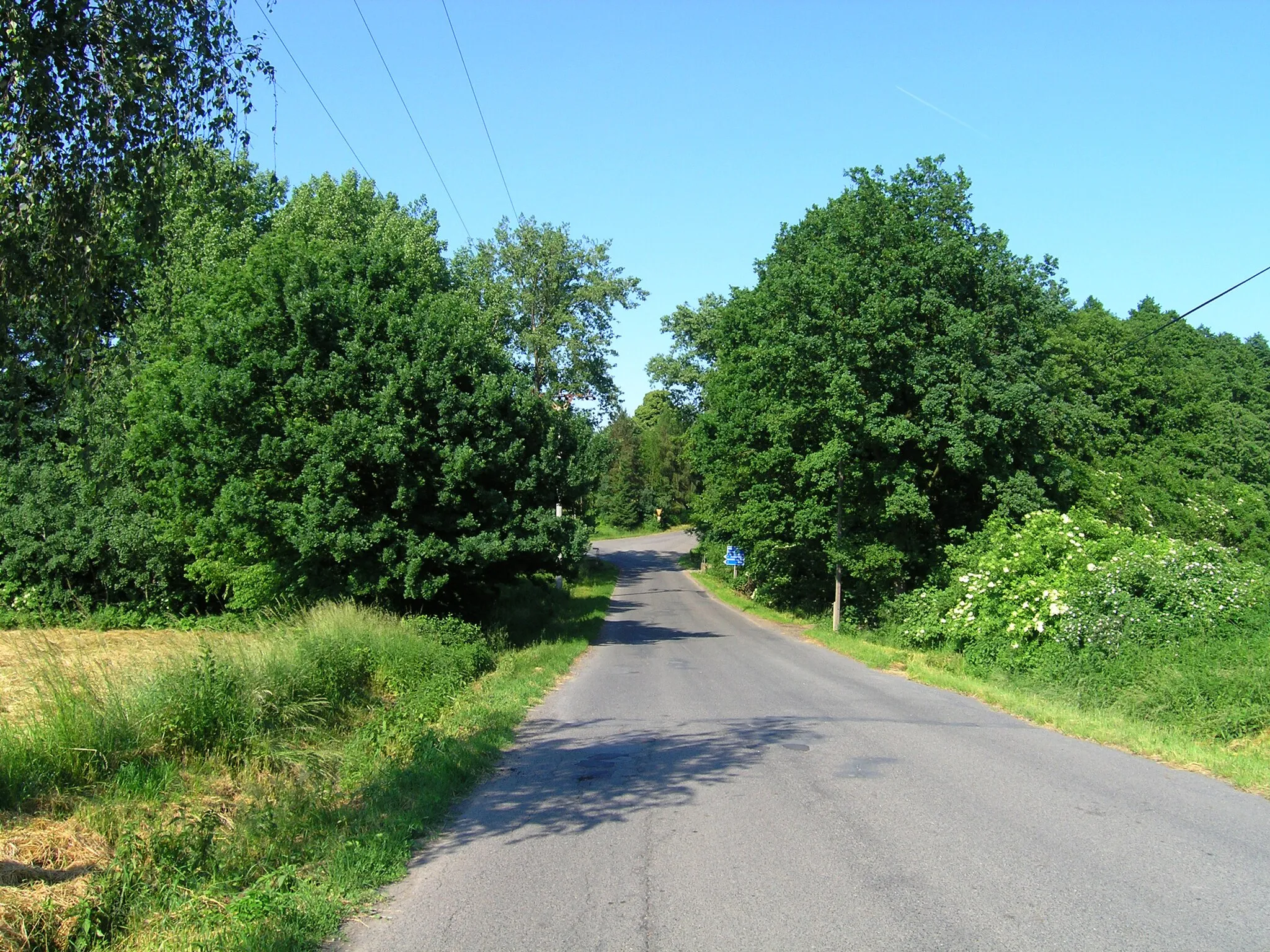 Photo showing: Road from Radějovice to local part Olešky, Prague-East District, Czech Republic