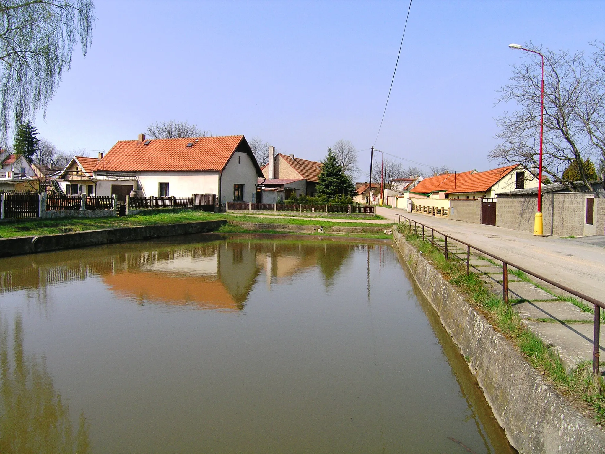Photo showing: Common pond in Brázdim, Czech Republic