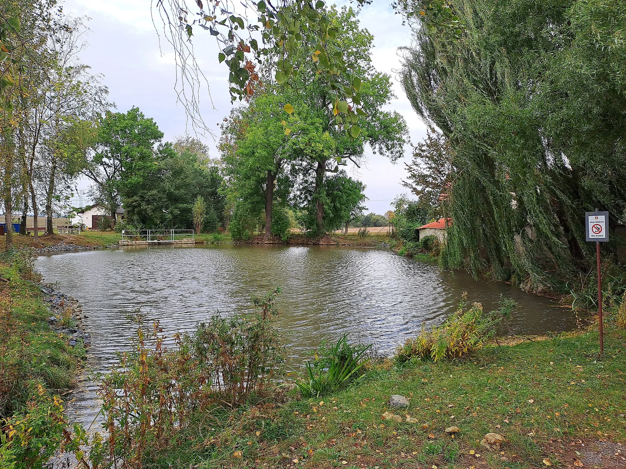 Photo showing: Veliký Brázdim, rybník na Poleradském potoce