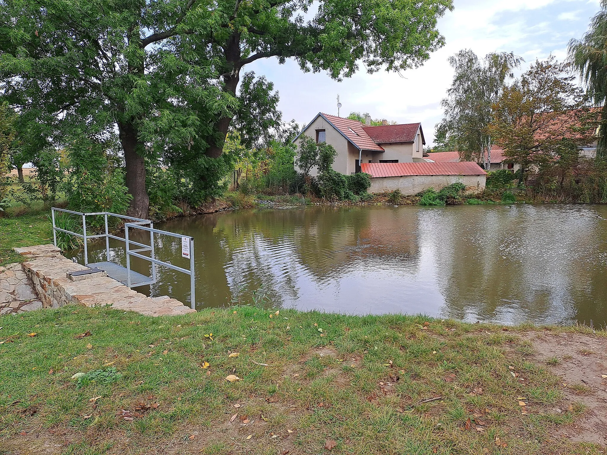 Photo showing: Veliký Brázdim, rybník na Poleradském potoce