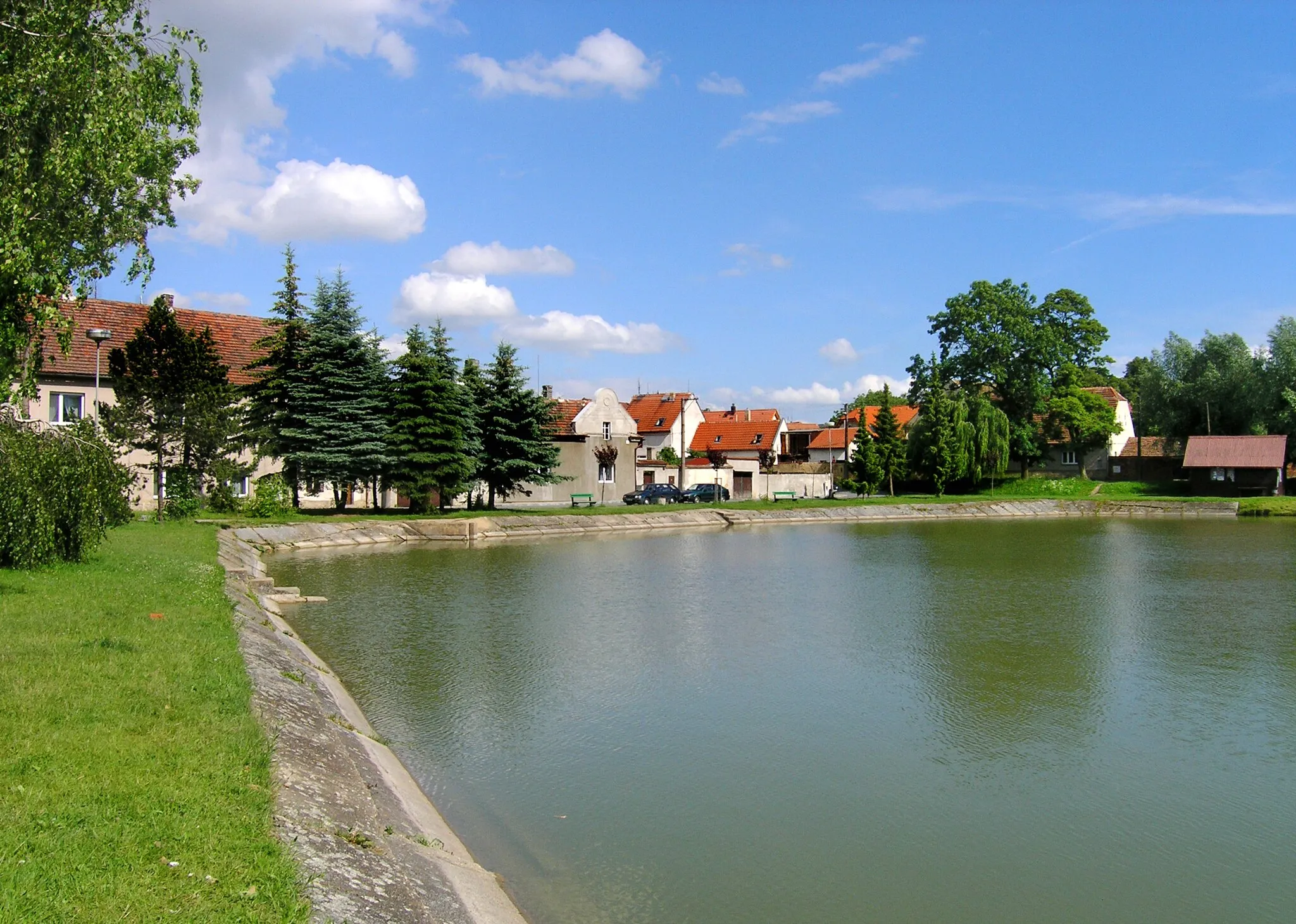 Photo showing: Common pond in Jeneč village, Czech Republic