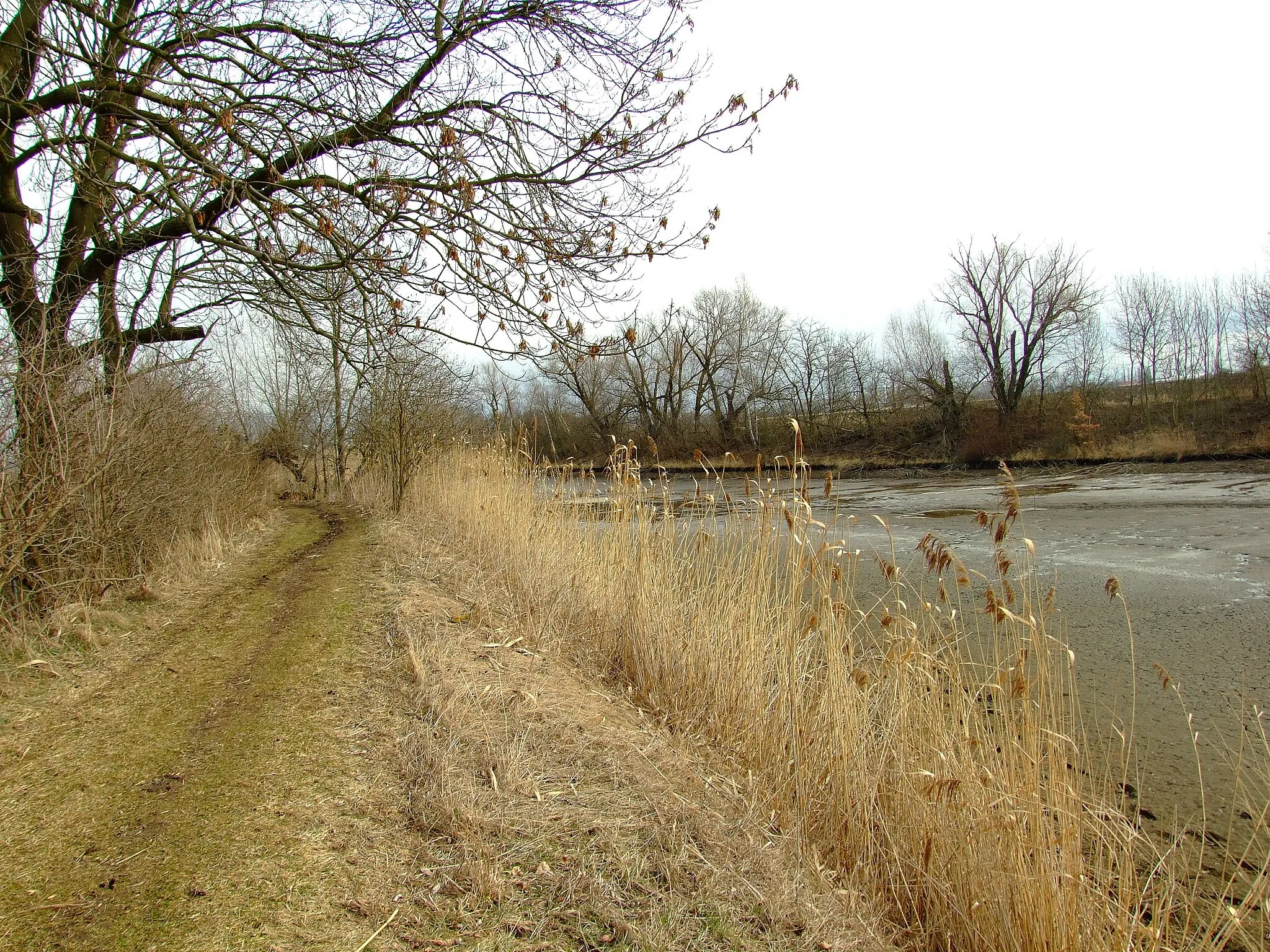 Photo showing: Peterka's Pond in Hostivice, Prague-West District Central Bohemian Region, the Czech Republic.