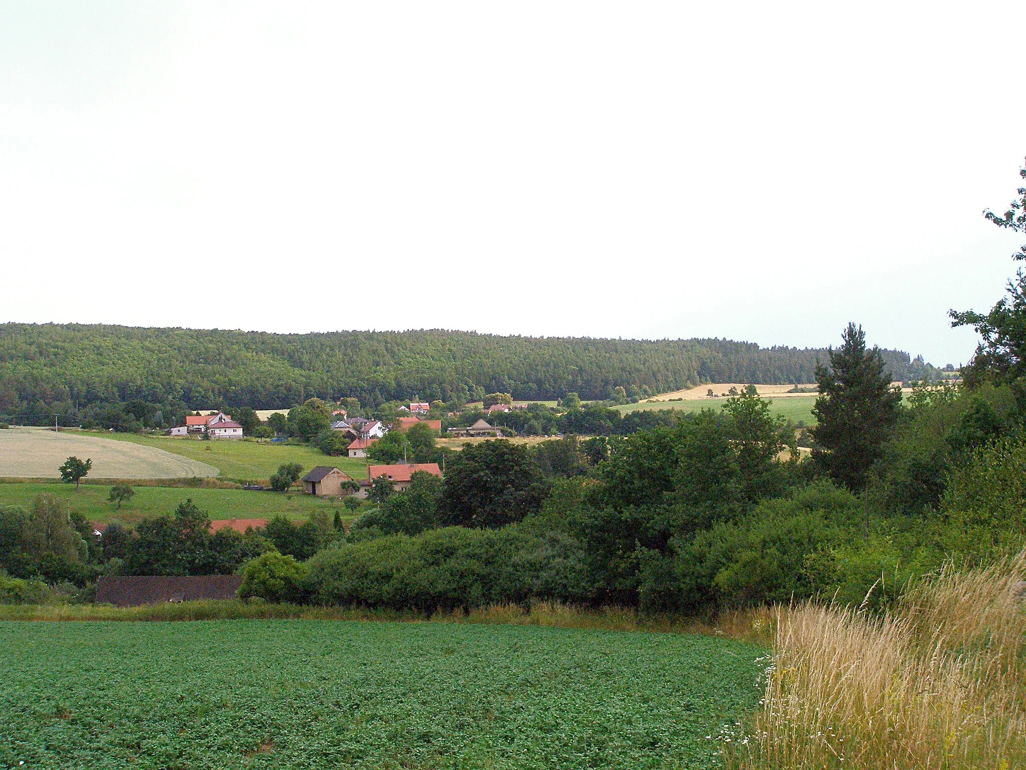 Photo showing: Senešnice - the general view from the south