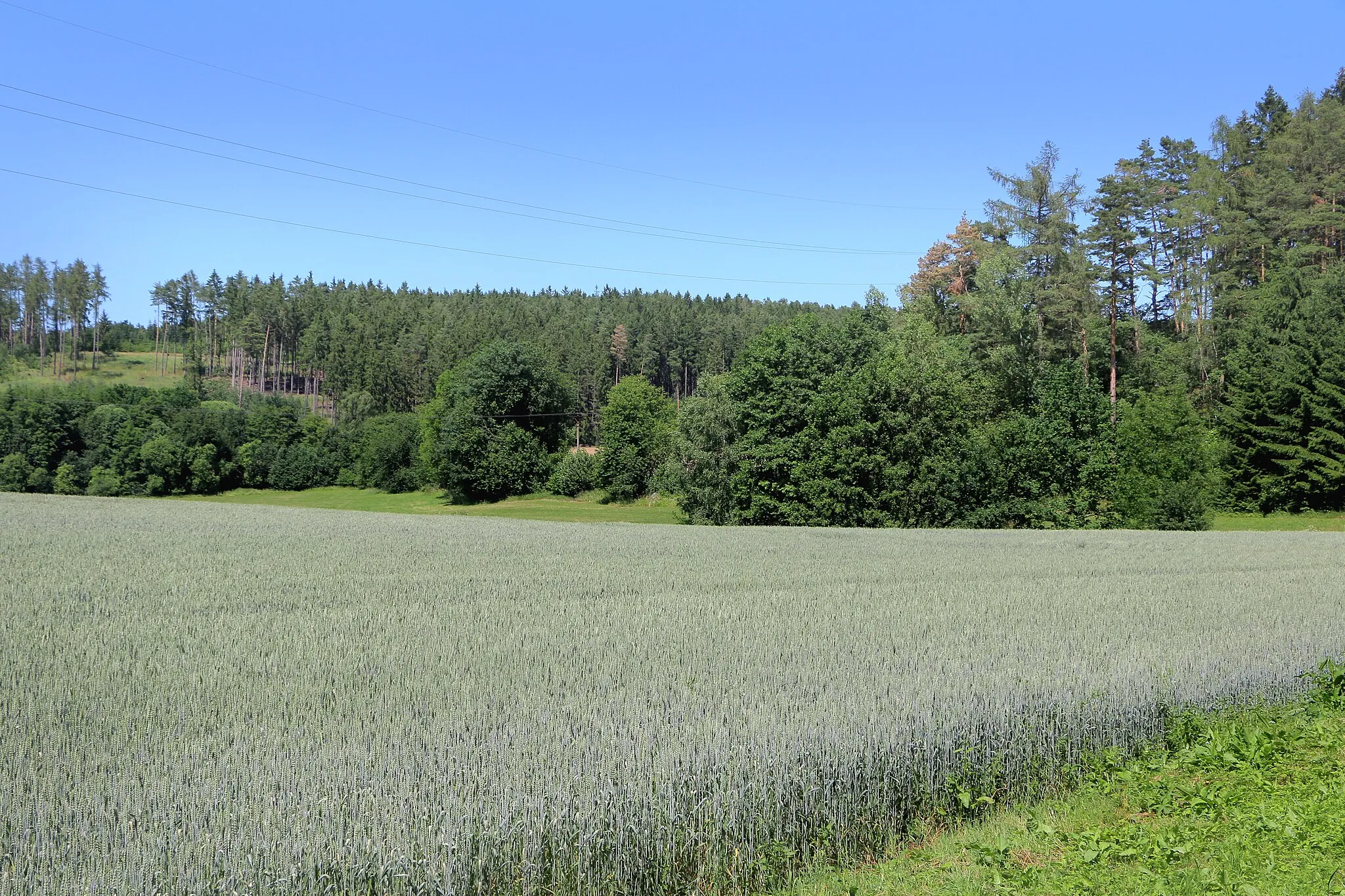 Photo showing: Landscape by Jezvina, part of Vysoký Chlumec, Czech Republic.