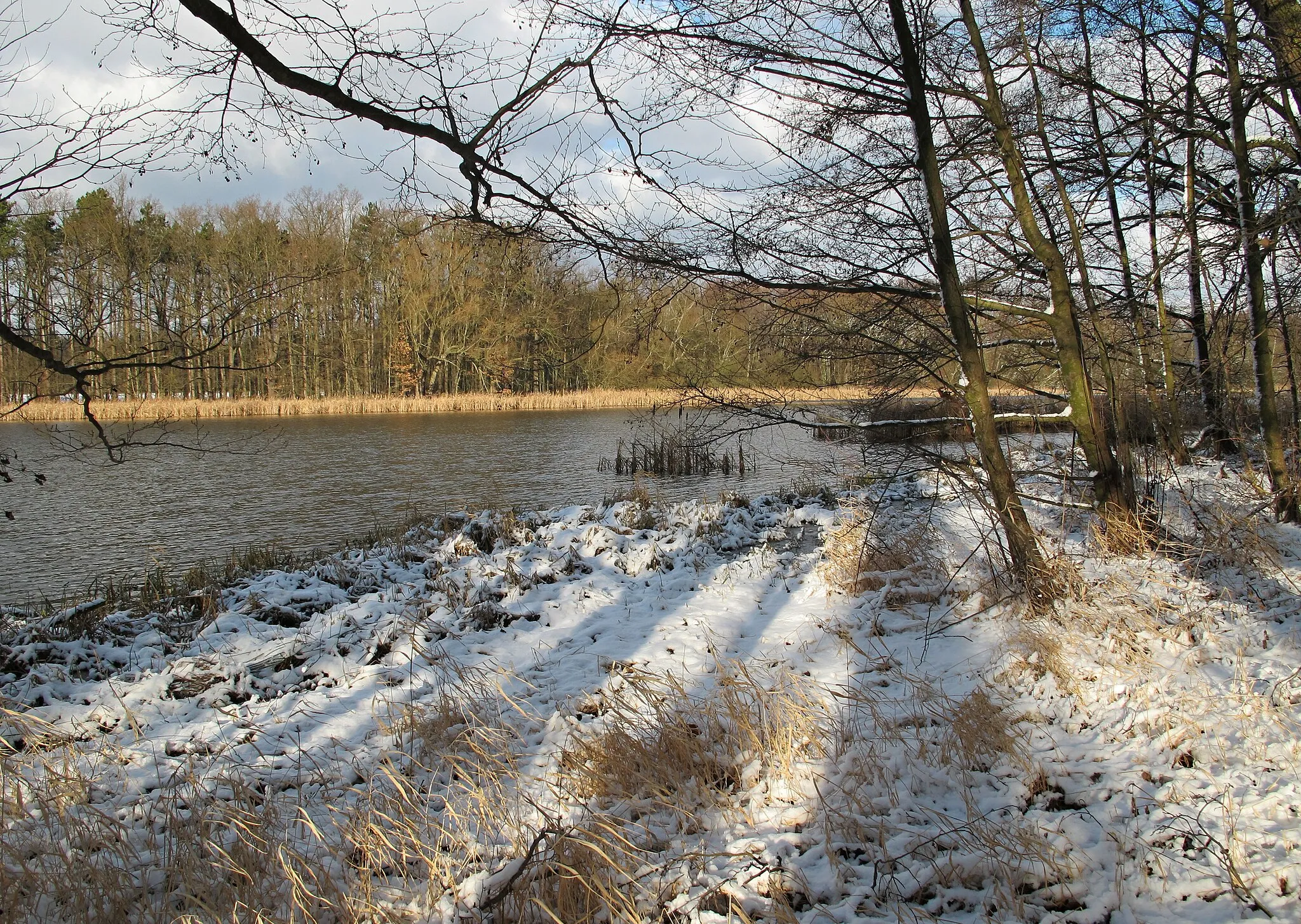 Photo showing: Natural monument Pařezitý near Svaté pole, Příbram District in Czech Reublic