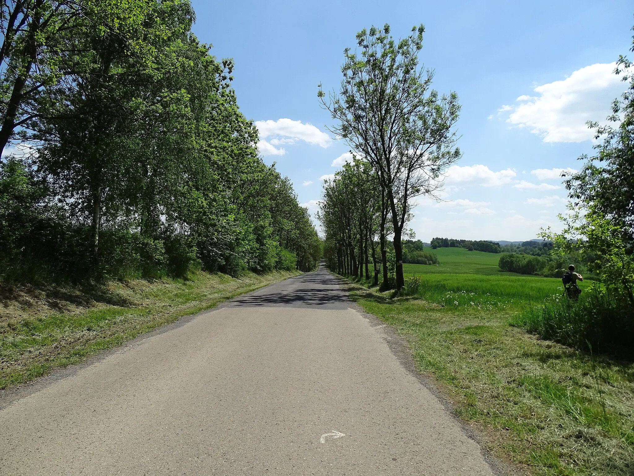 Photo showing: Prosenická Lhota-Suchdol, Příbram District, Central Bohemian Region, Czech Republic. Road III/11443 to Klimětice.
