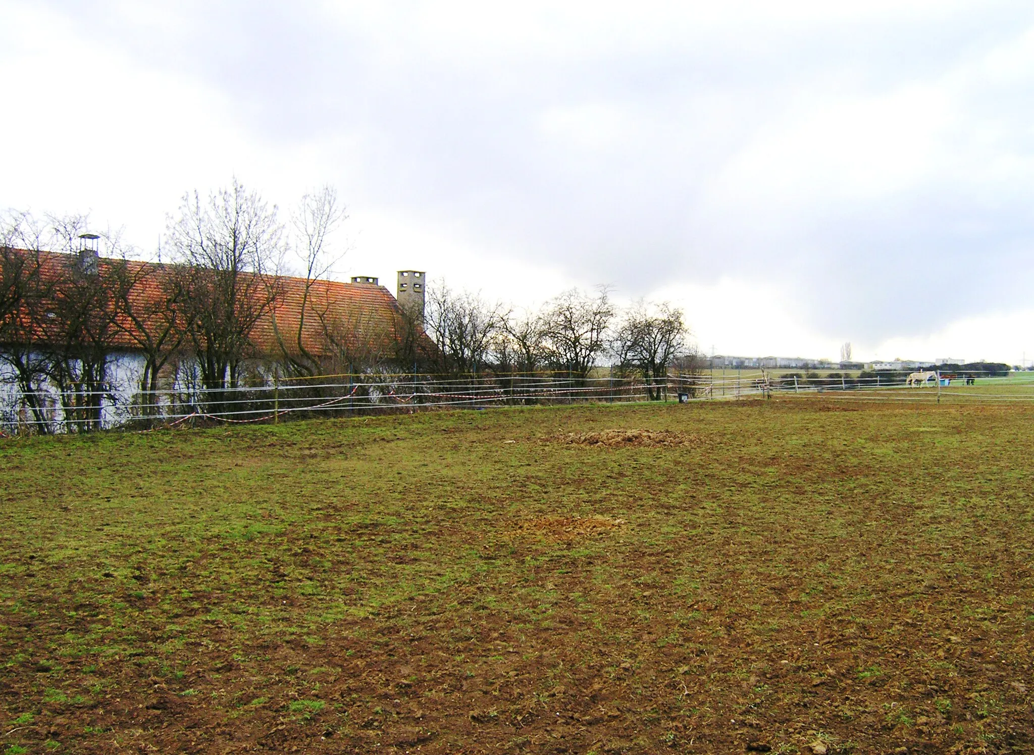 Photo showing: A horse farm in Zadní Kopanina, Prague