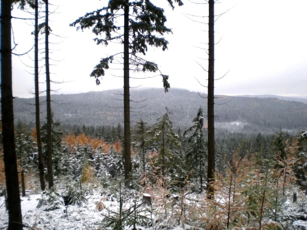 Photo showing: Vrch Kočka (789 m) nad Padrťským údolím. V pozadí Kamenná (735 m).