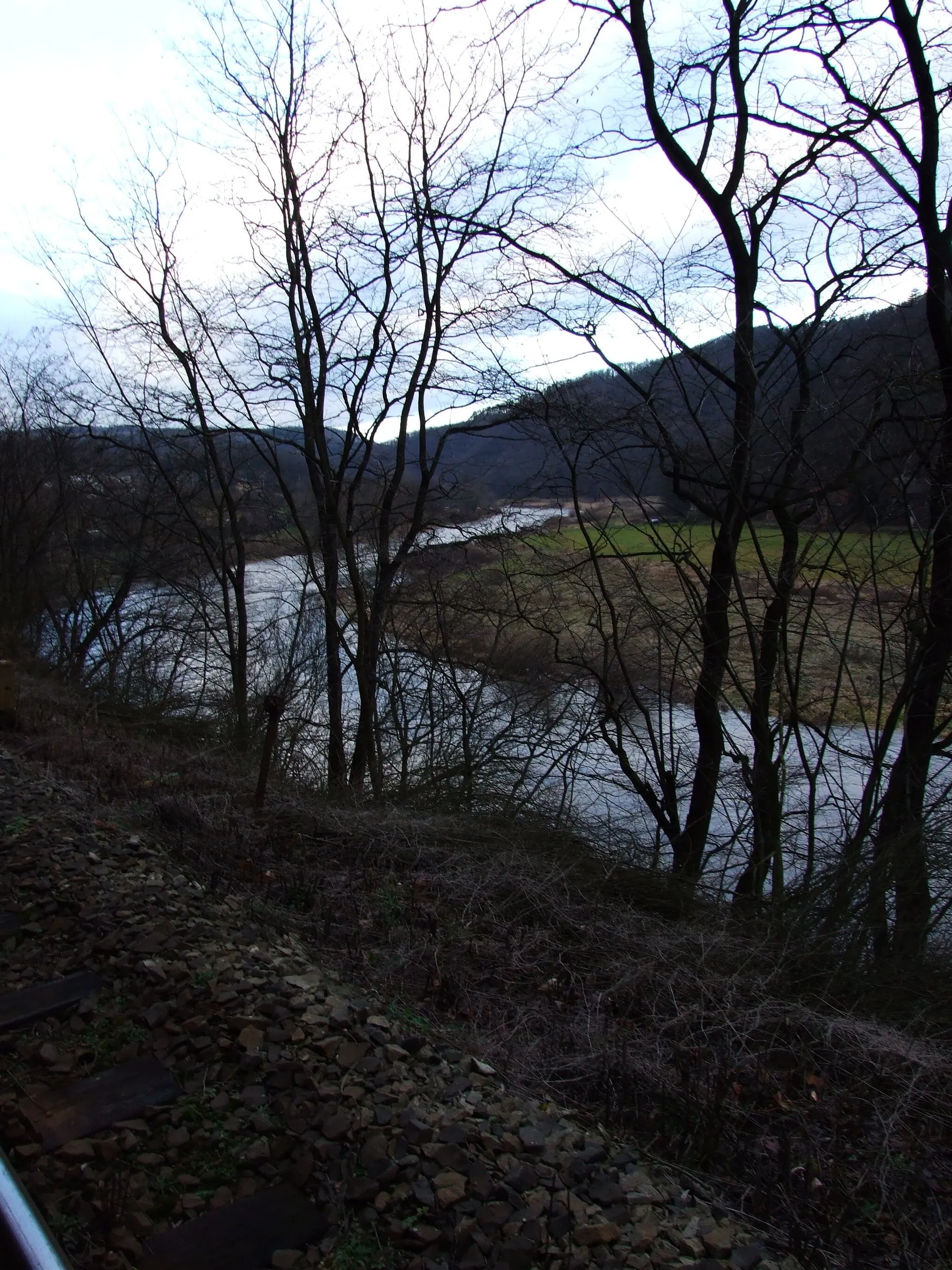 Photo showing: Berounka river near Roztoky u Křivoklátu, CZ