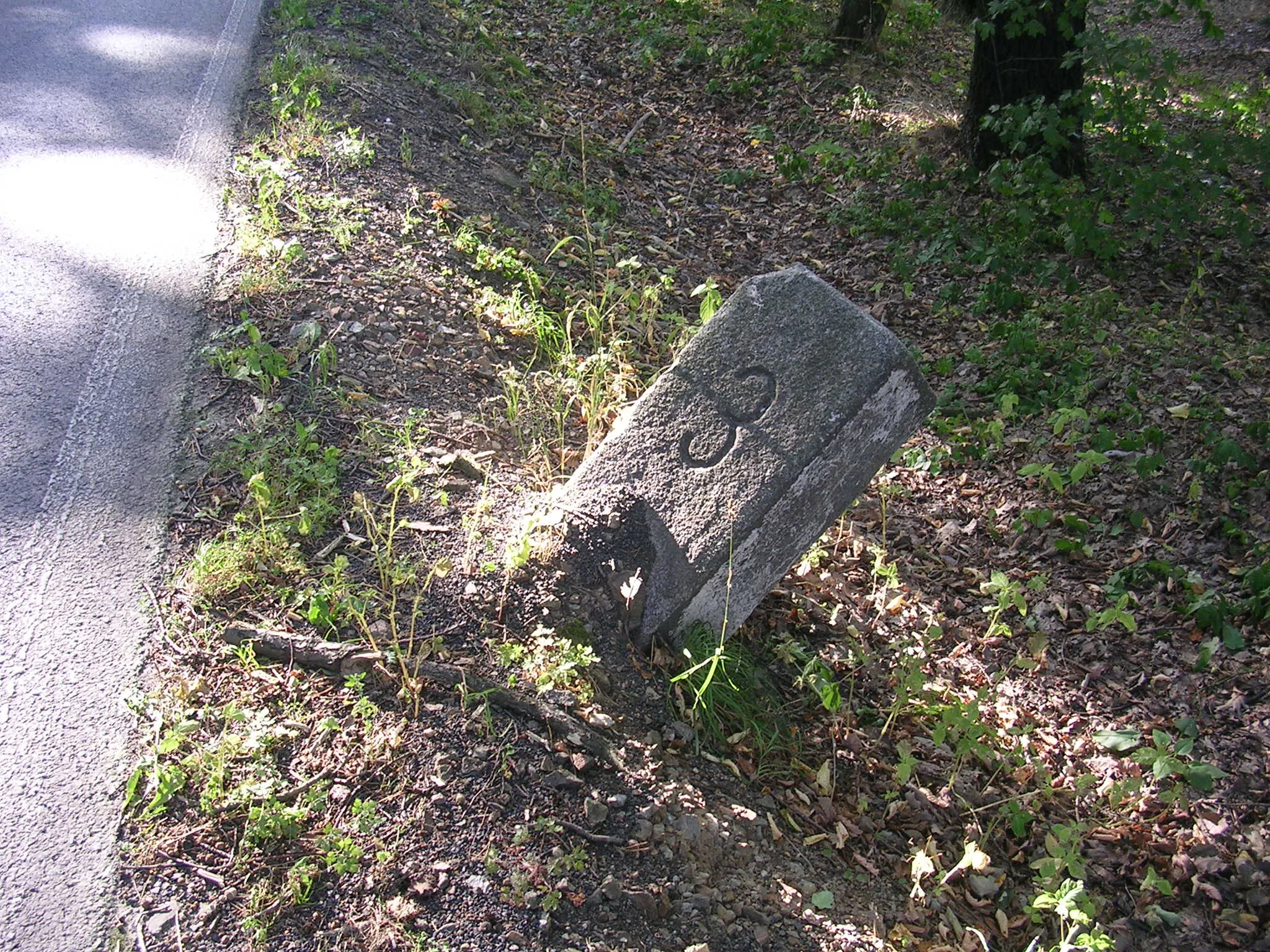 Photo showing: Rakovník District, Central Bohemian Region, the Czech Republic. A kilometer stone along the road Nižbor – Leontýn.