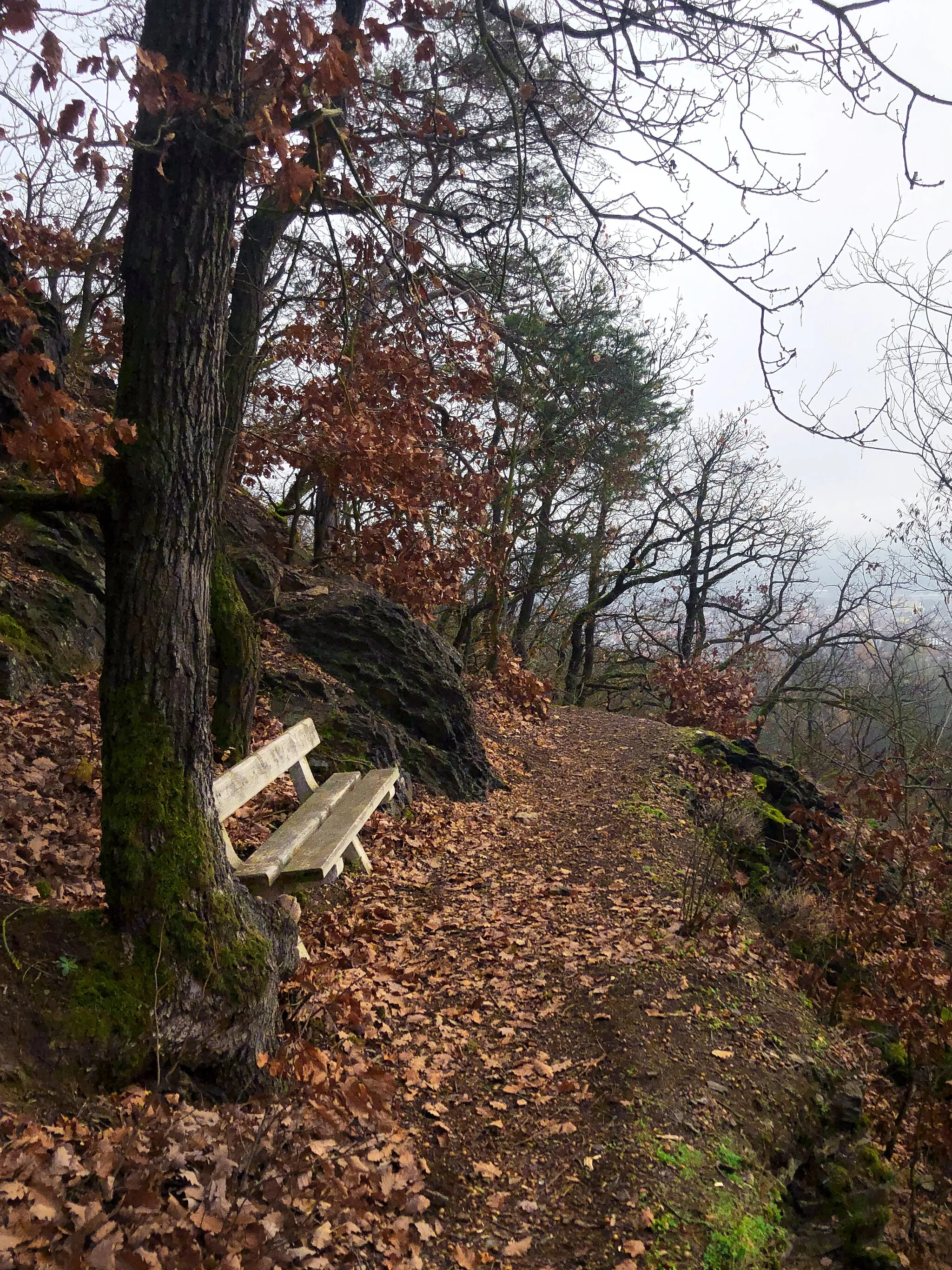 Photo showing: I was running on this nice path between rocks and steep slopes when I found this beautiful spot. Somebody liked it here so much that they put a bench here.