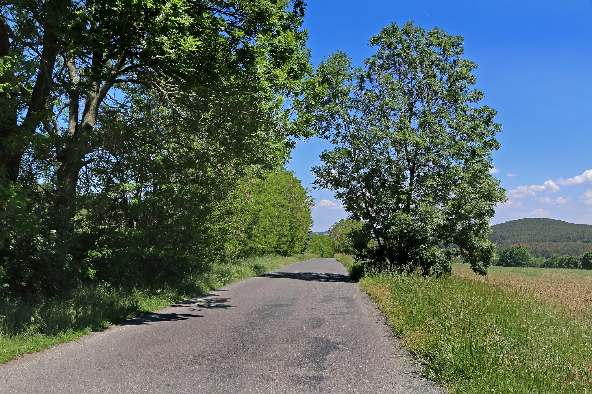 Photo showing: Road to Vestec, part of Hřiměždice, Czech Republic.
