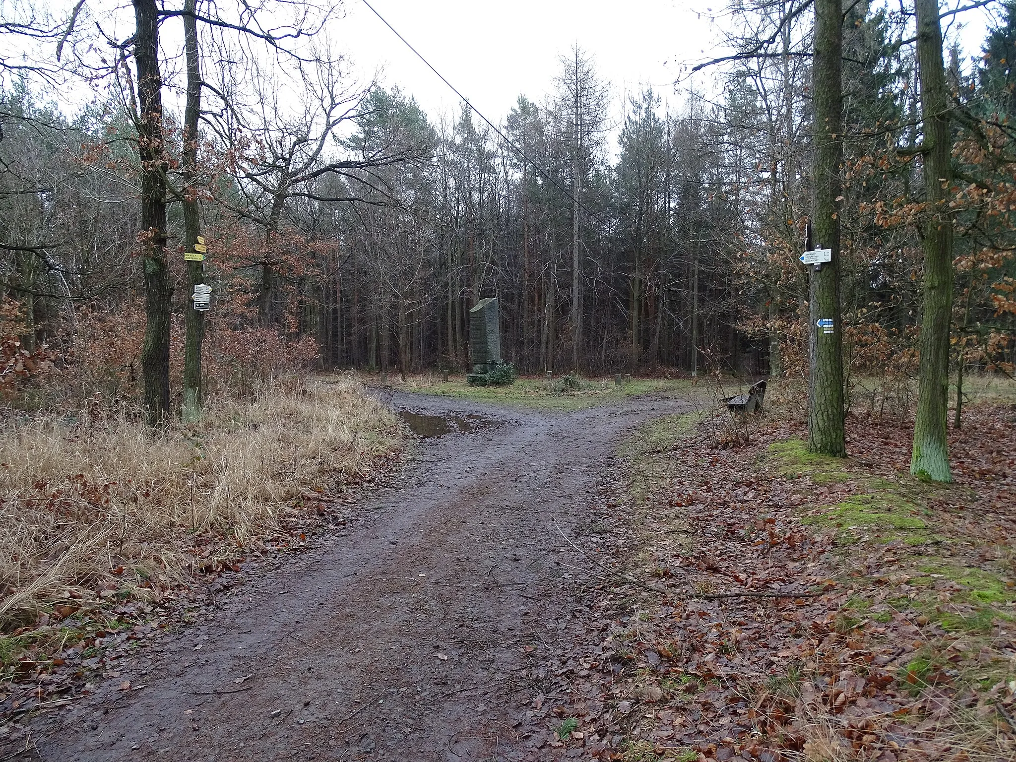 Photo showing: Saint Wencesluas. A tripoint of Bojanovice-Senešnice and Zahořany, Prague-West District, Nová Ves pod Pleší, Příbram District, Central Bohemian Region, Czech Republic.