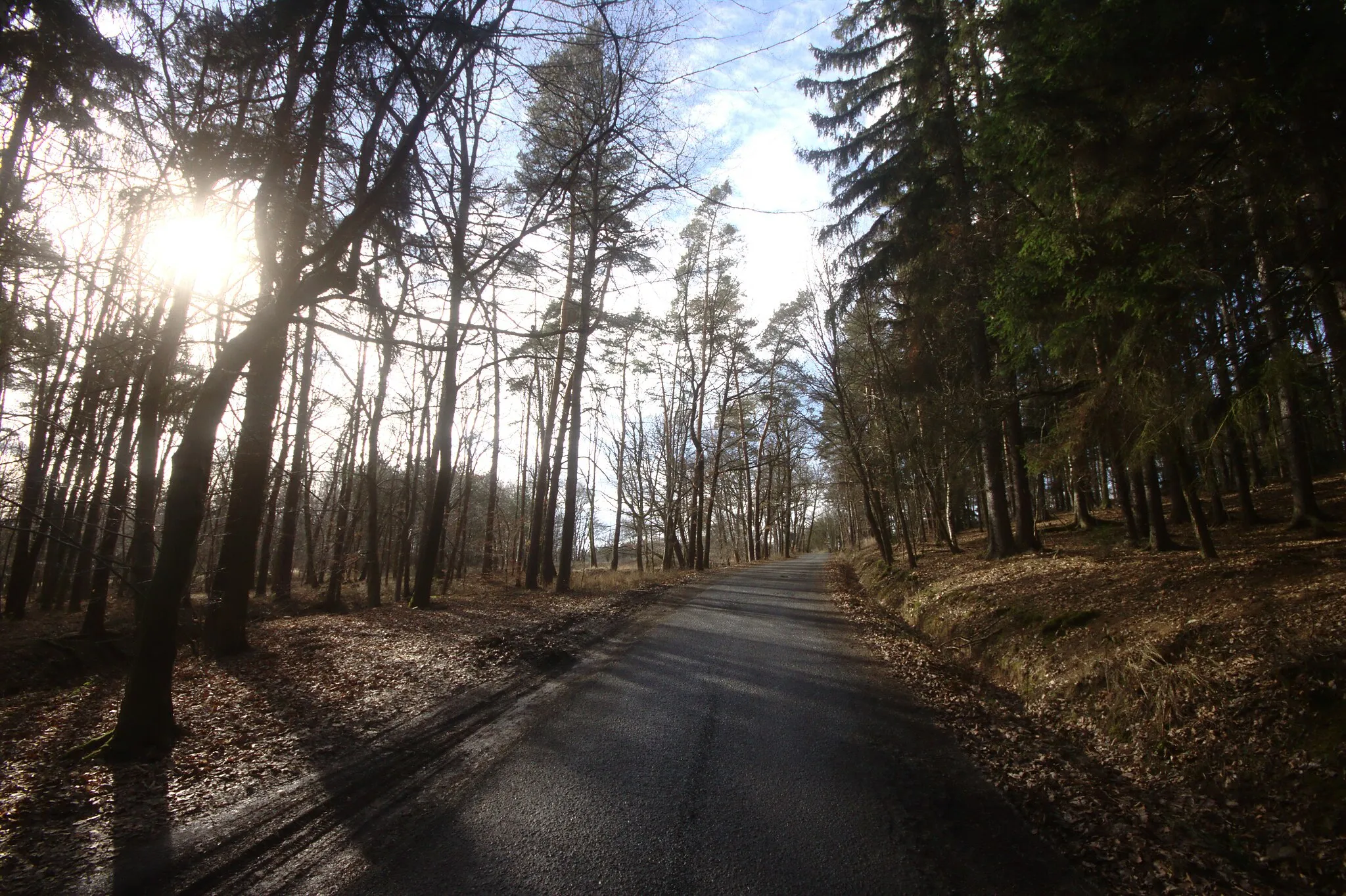 Photo showing: A road to Brdy from Kytín/Stříbrná lhota, Central Bohemian Region, CZ