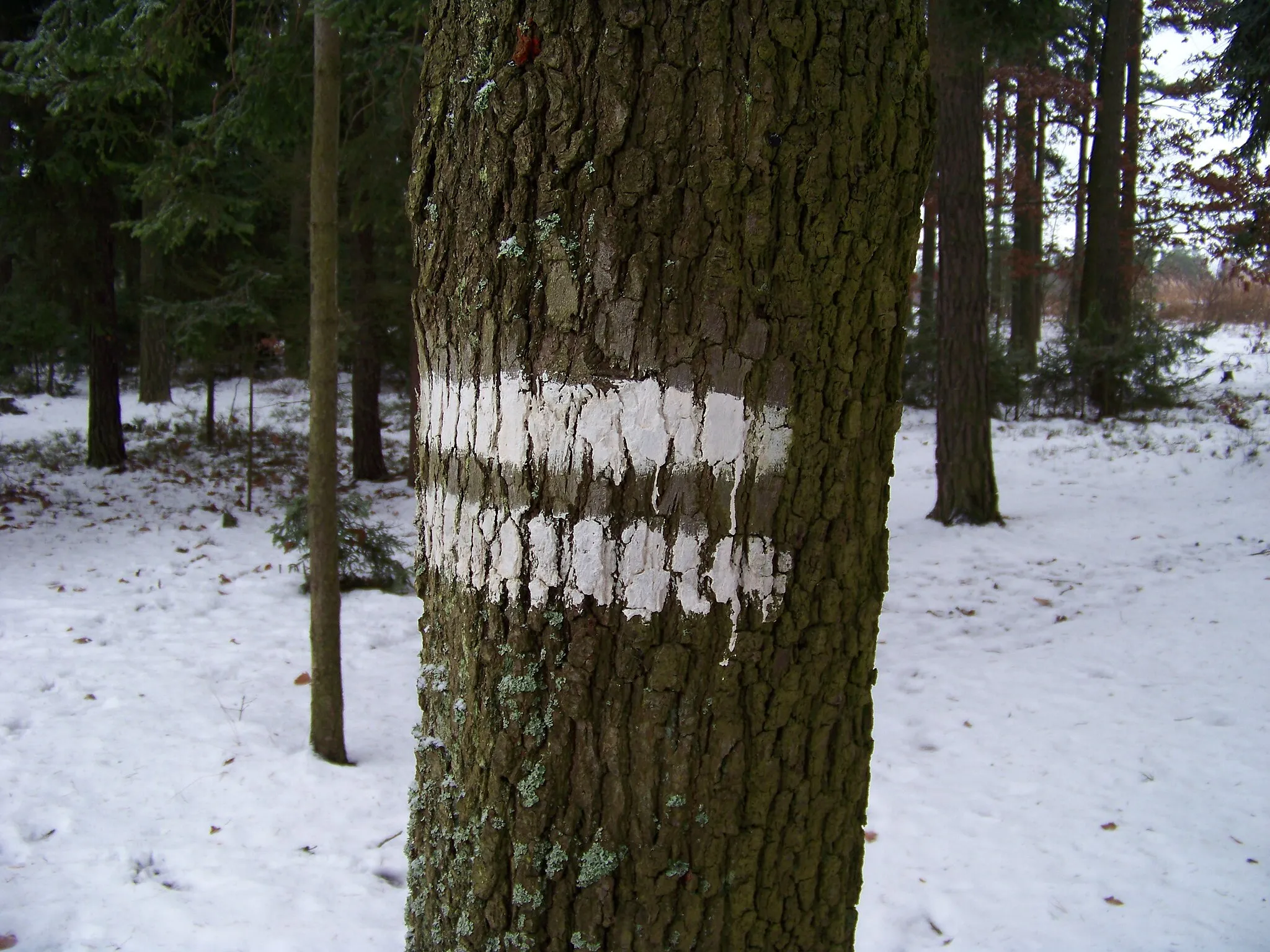 Photo showing: Mníšek pod Brdy-Stříbrná Lhota, Prague-West District, Central Bohemian Region, the Czech Republic. A forestry sign near the trail at Hřebeny.