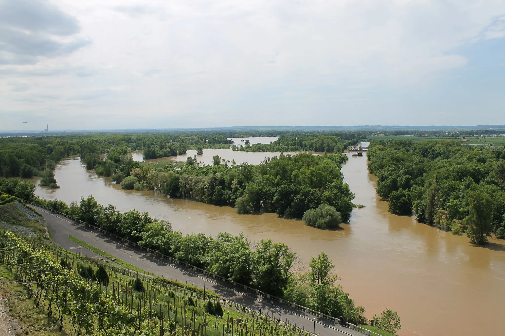 Photo showing: Flooded confluence of the Vraňansko-hořínský plavební kanál, the Labe and the Vltava, June 5th 2013, from the top of Mělník.