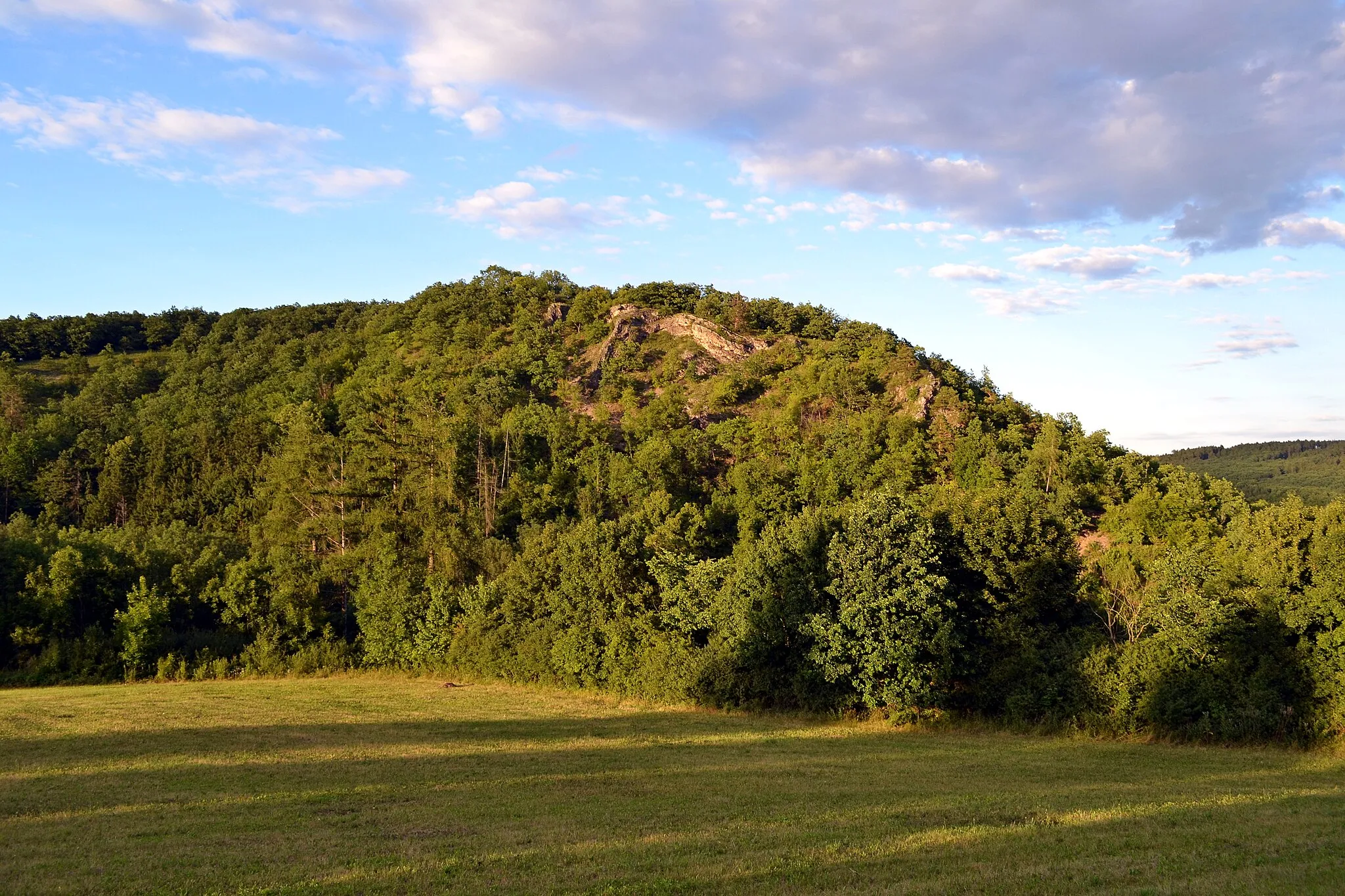 Photo showing: Natural reserve Kulivá hora near Třebotov, Central Bohemian Region, Czech Republic.