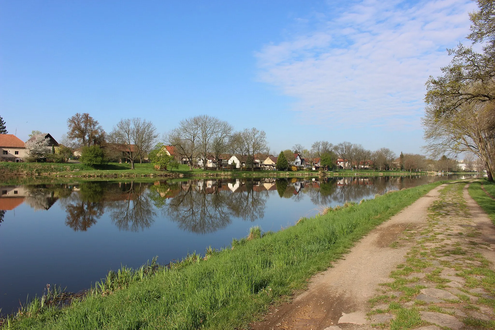 Photo showing: Lobkovice z protějšího břehu Labe