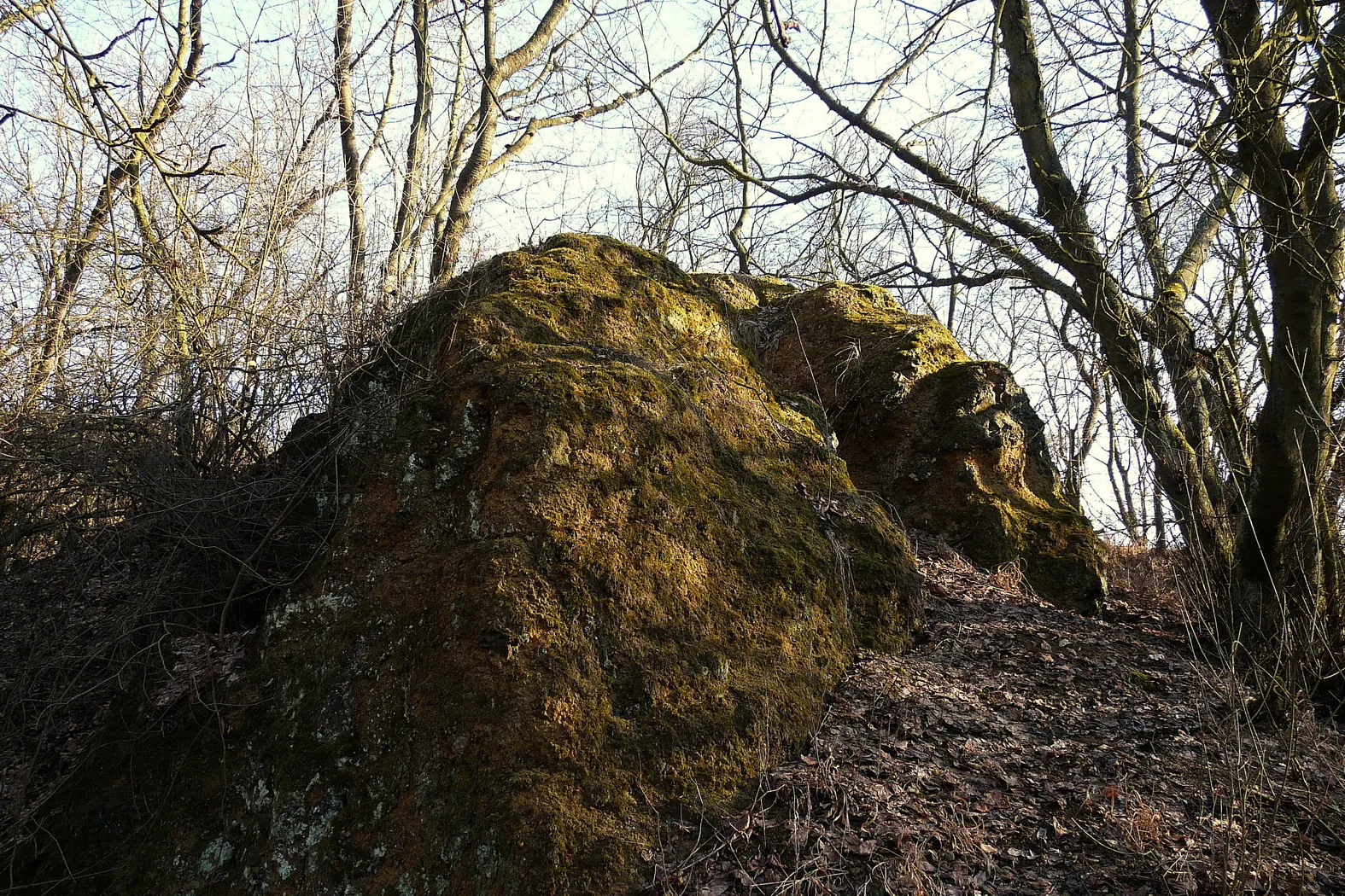 Photo showing: Skalka kamenolomu na vrchu Jezírka