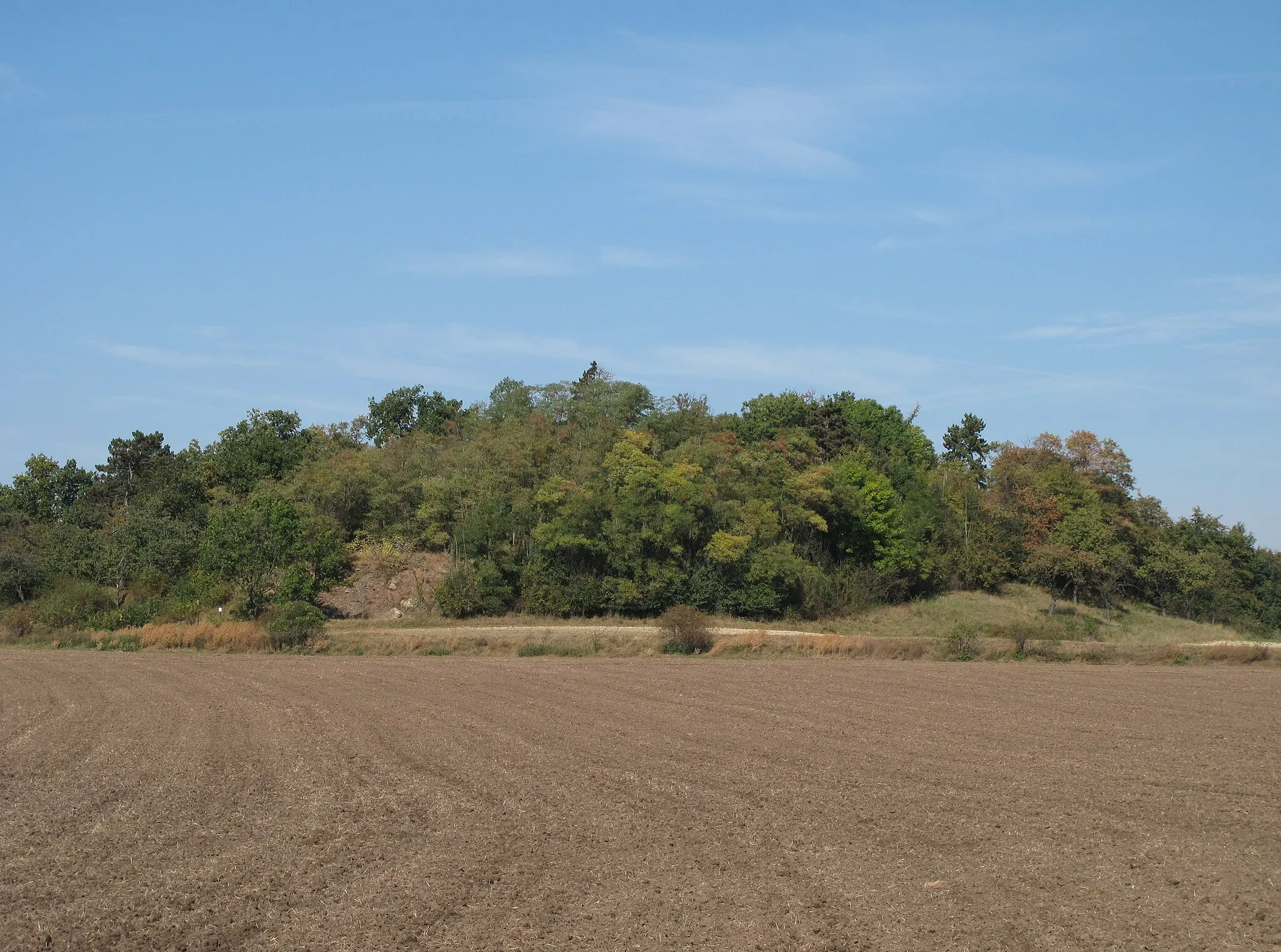 Photo showing: Čičovický kamýk natural monument as seen from the south in detail, Prague-West District, Czech Republic.