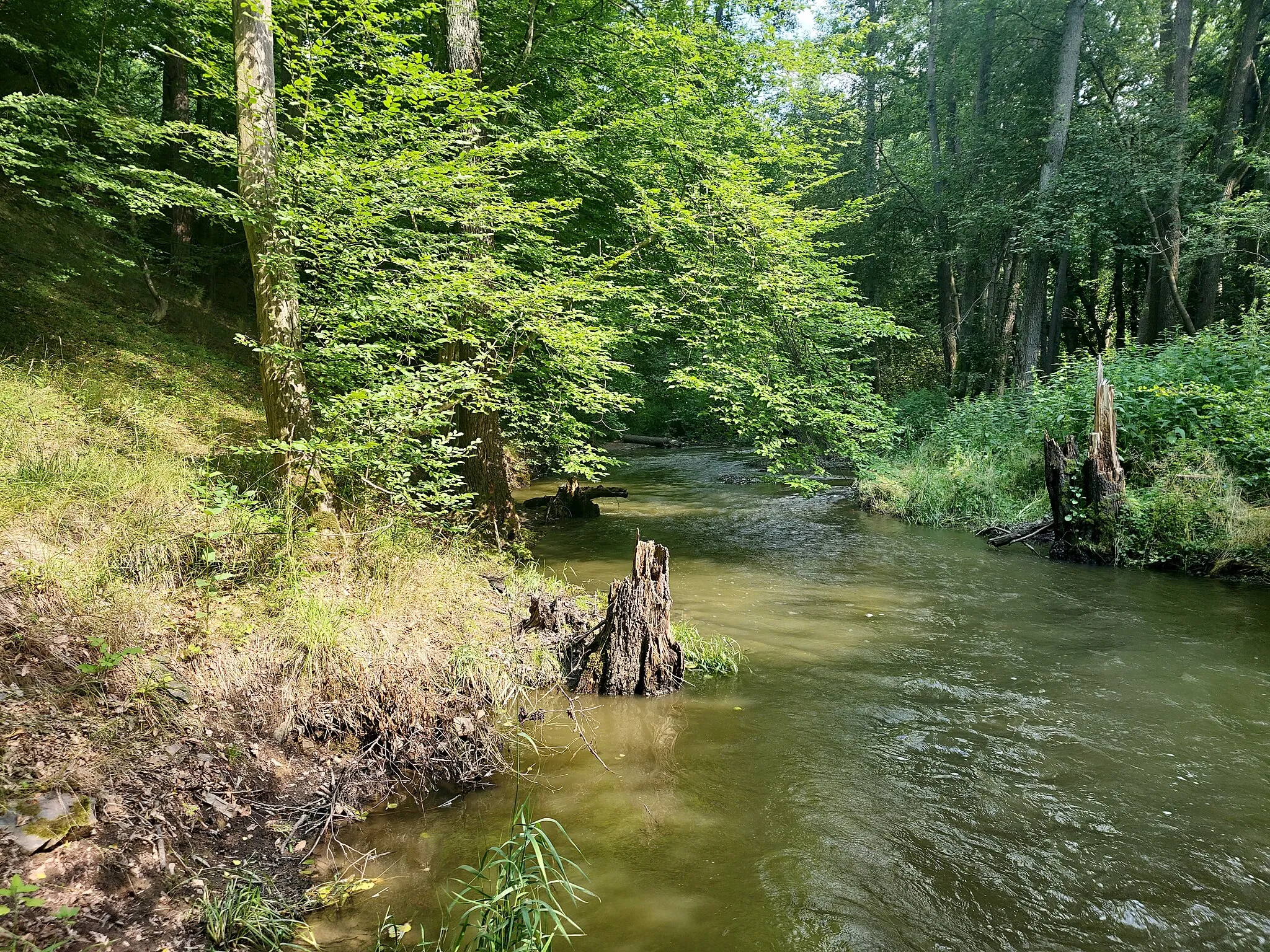 Photo showing: Zákoutí u řeky Kocáby