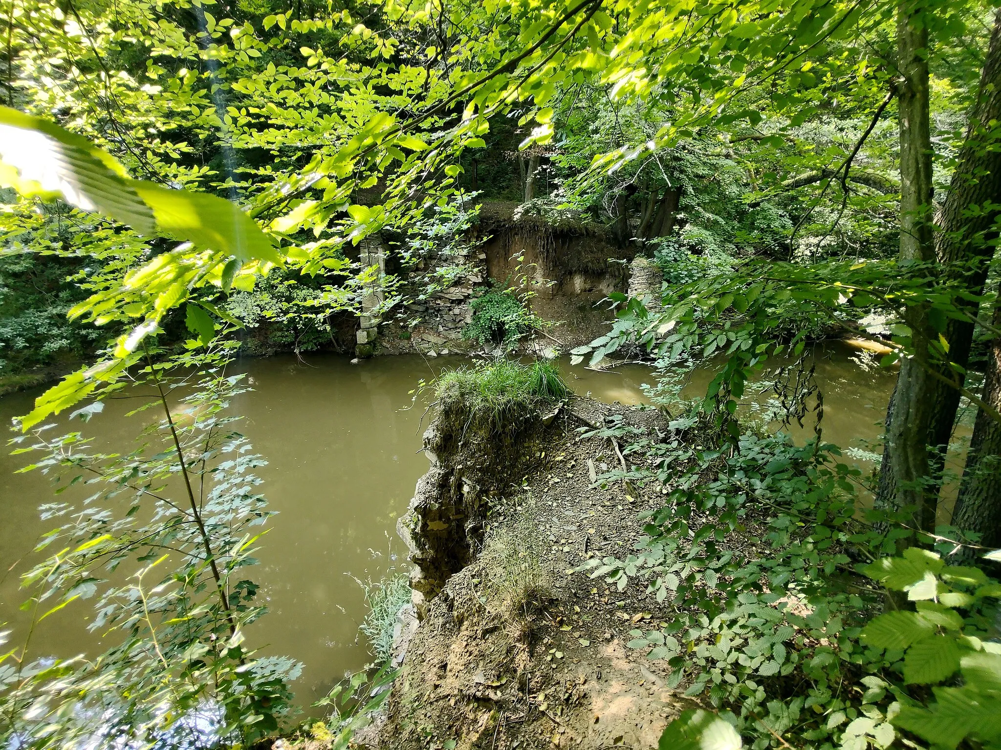 Photo showing: Hráz rybníka už není celá, voda si našla vlastní cestu.