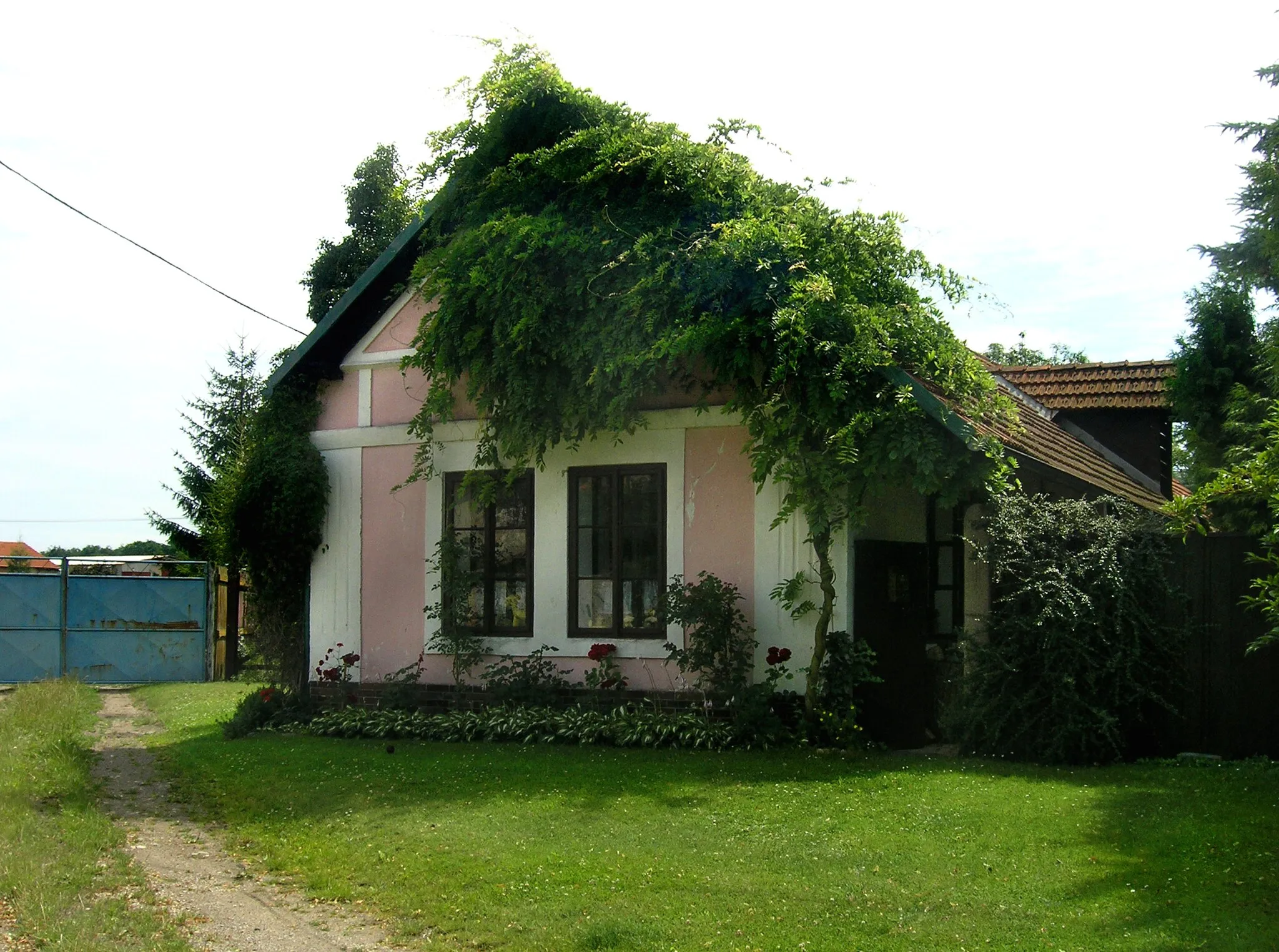 Photo showing: North part of Dománovice, Czech Republic