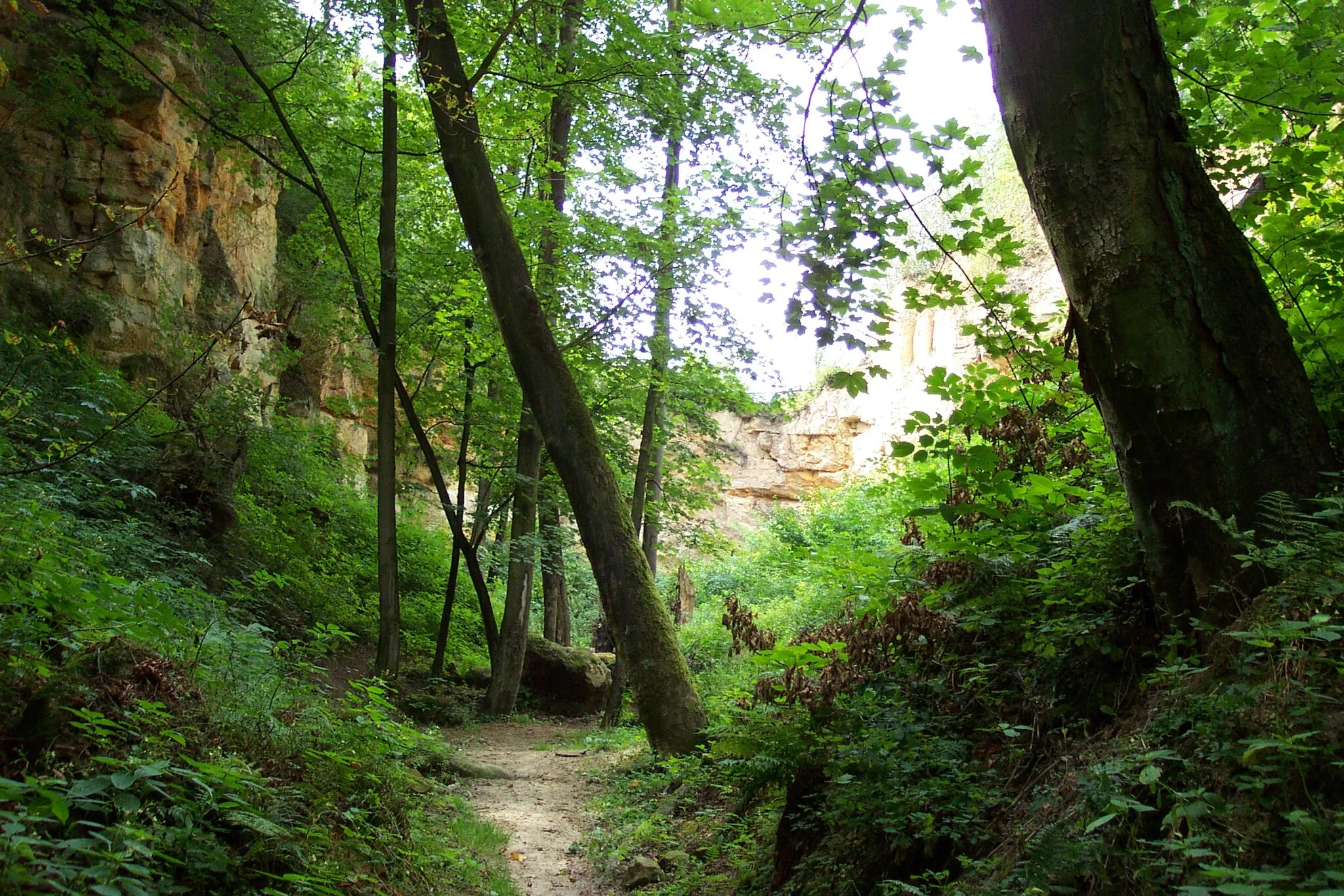Photo showing: Prague-Lysolaje, the Housle natural reservation