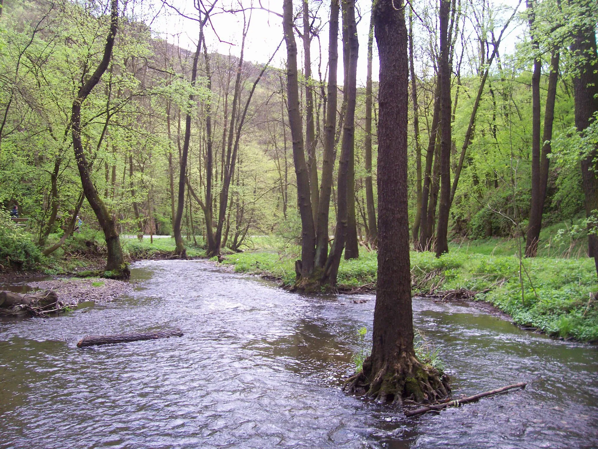 Photo showing: Svatý Jan pod Skalou