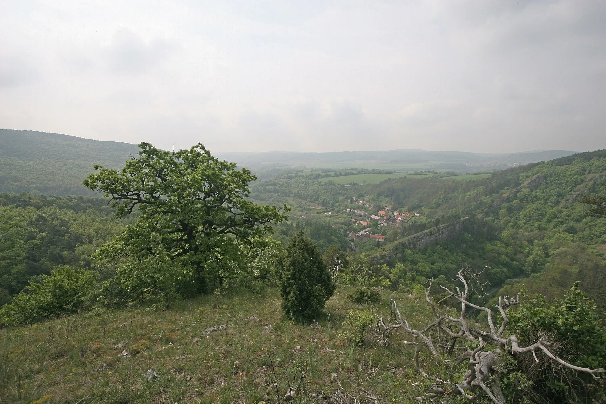 Photo showing: Hostim vyhlídka nad Třesinou
Camera location 49° 57′ 51.84″ N, 14° 07′ 59.09″ E View this and other nearby images on: OpenStreetMap 49.964400;   14.133080