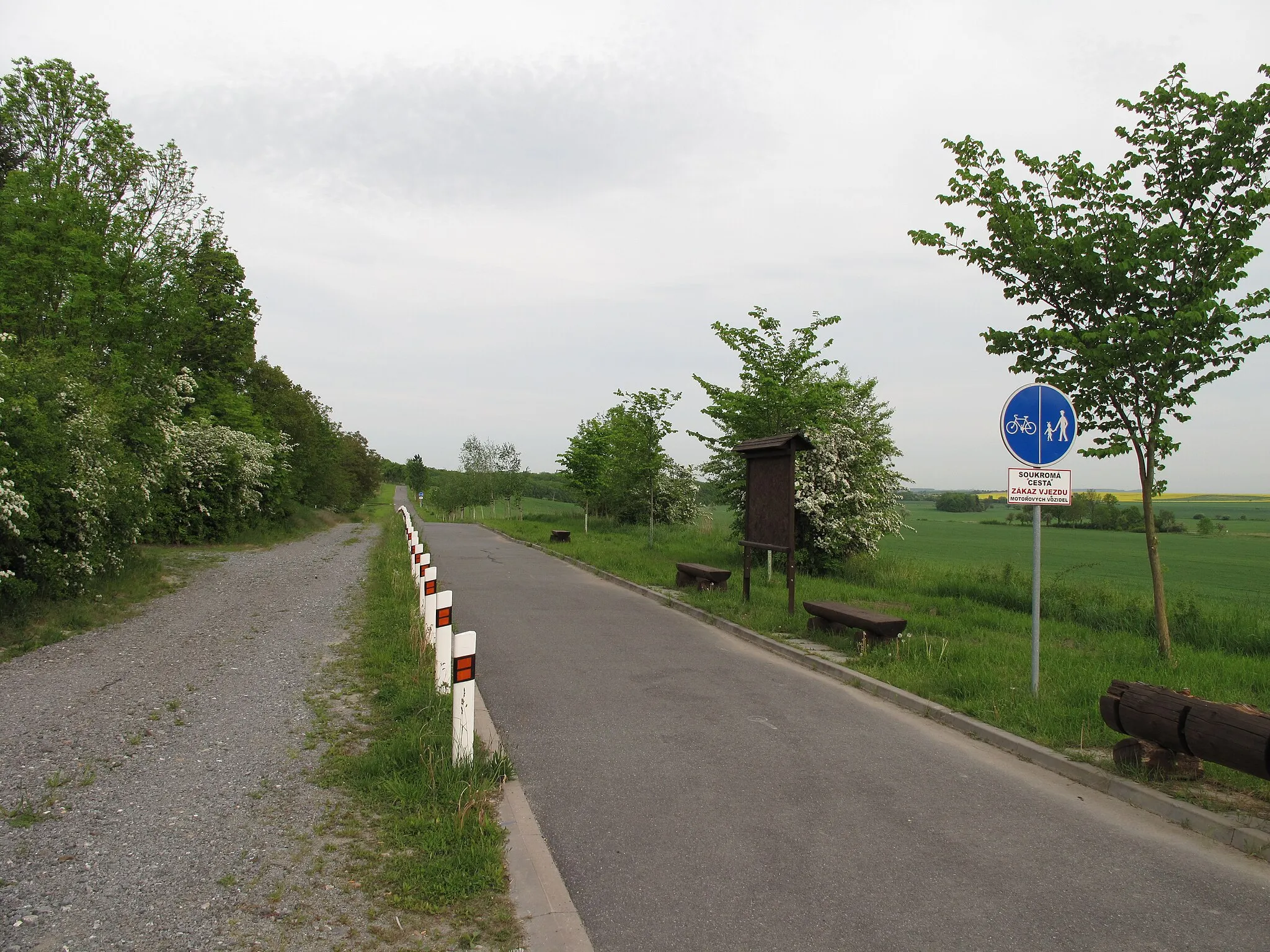 Photo showing: Bicycle pathin Nové Zámce. District of Nymburk, Czech Republic.