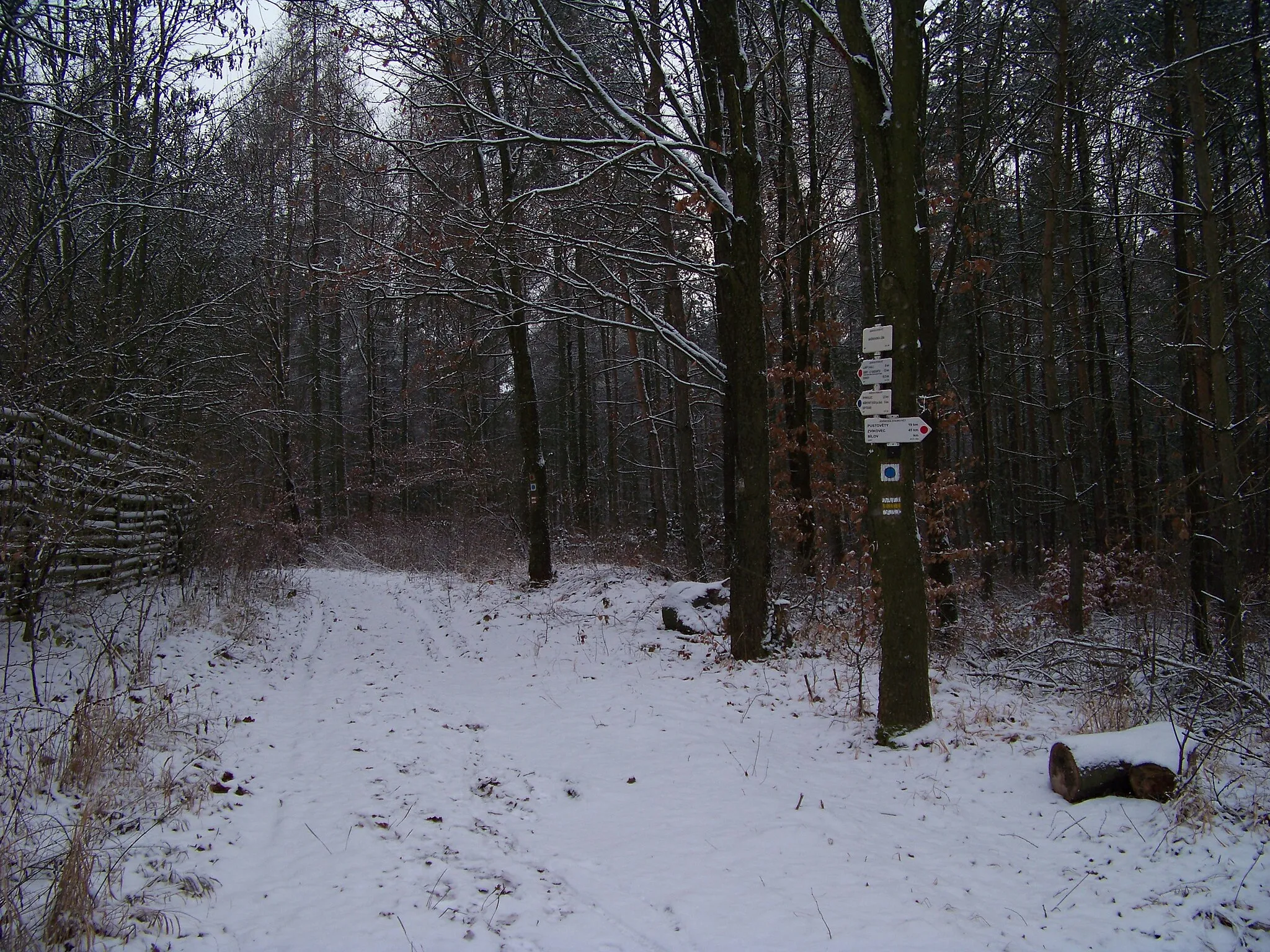 Photo showing: Lány, Kladno District, Central Bohemian Region, the Czech Republic. Hiking fingerpost "Vašírovská lísa".