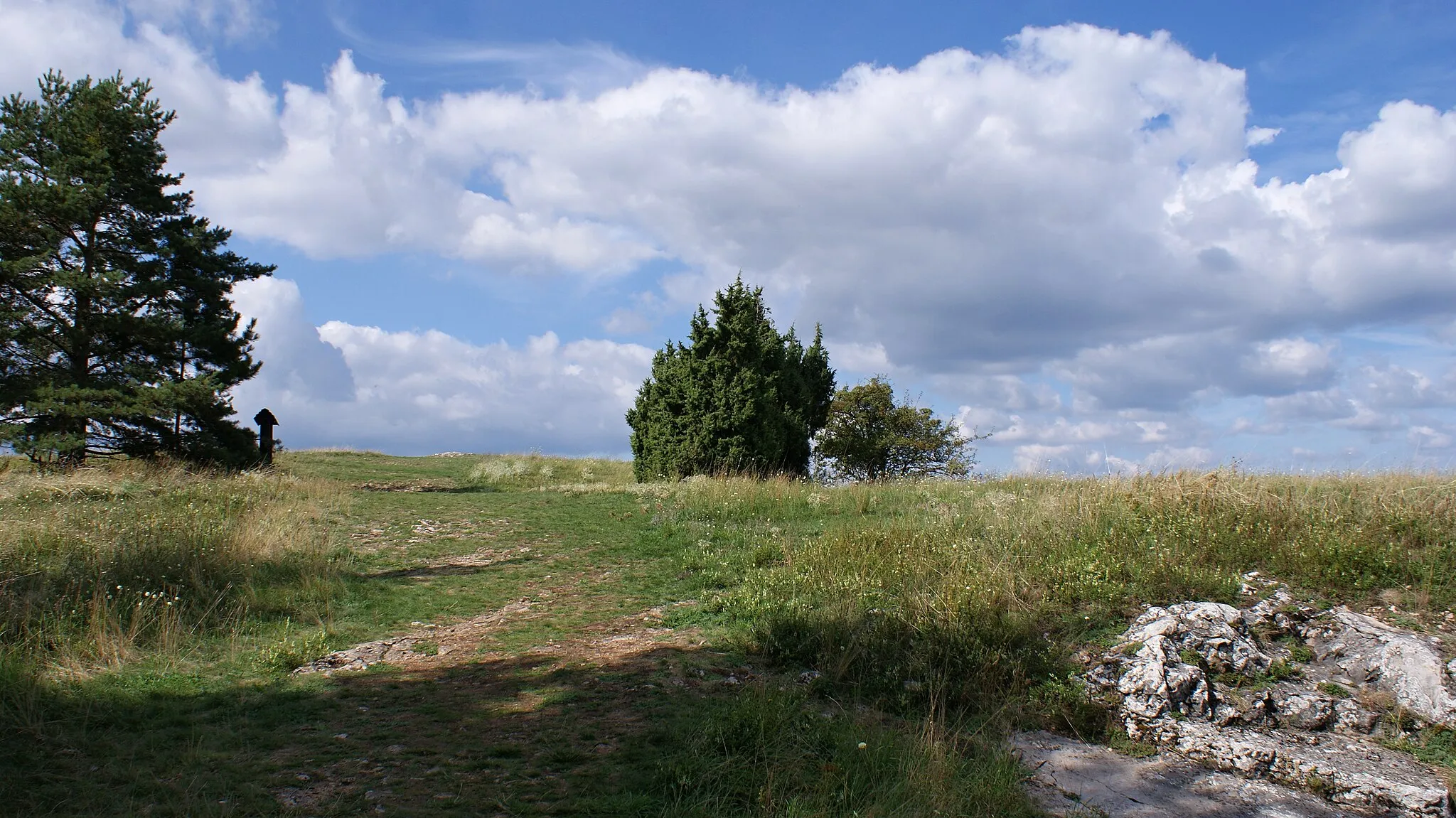 Photo showing: Zlatý kůň