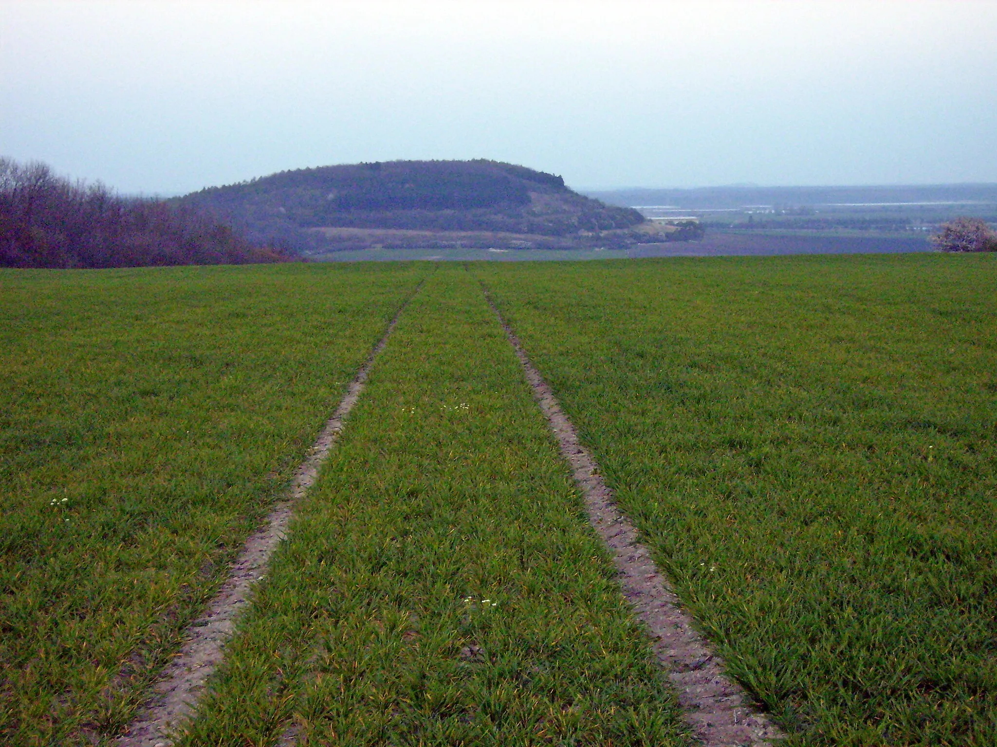 Photo showing: Vrchol Přerovské hůry s výhledem na Semickou hůru.