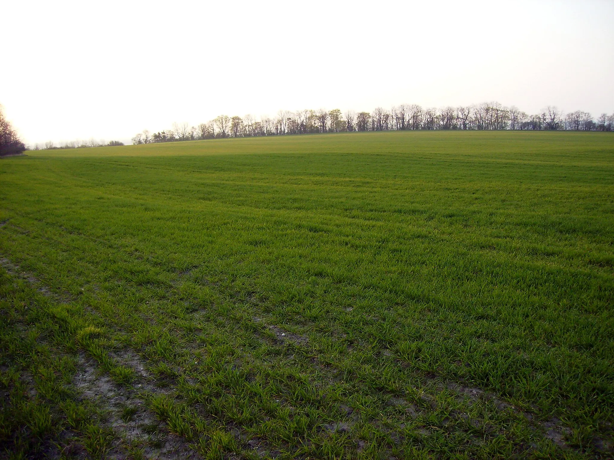 Photo showing: Rovinatý vrchol Přerovské hůry je zemědělsky využíván.