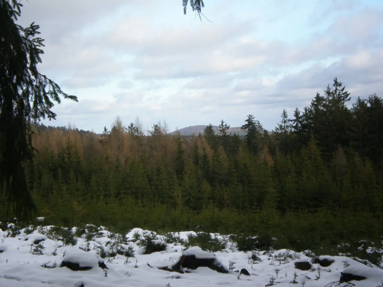 Photo showing: Vrochol Třemošné (778 m) a Ohrádky (747 m) z úbočí vrchu Brdce