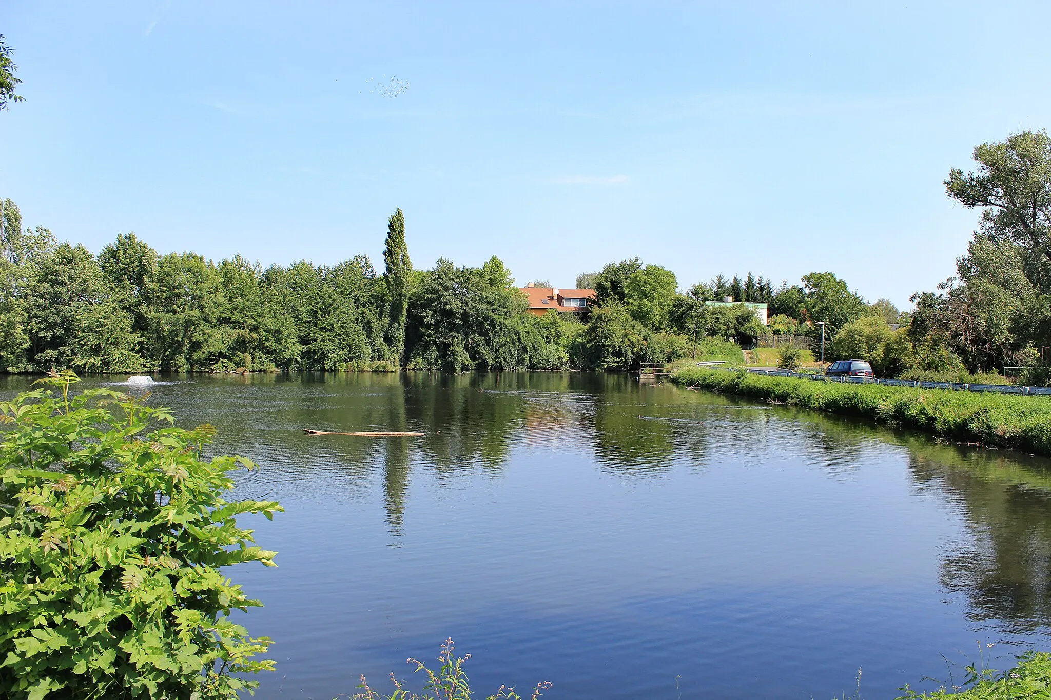 Photo showing: Cleaning pond in Nehvizdky, part of Nehvizdy market town, Czech Republic