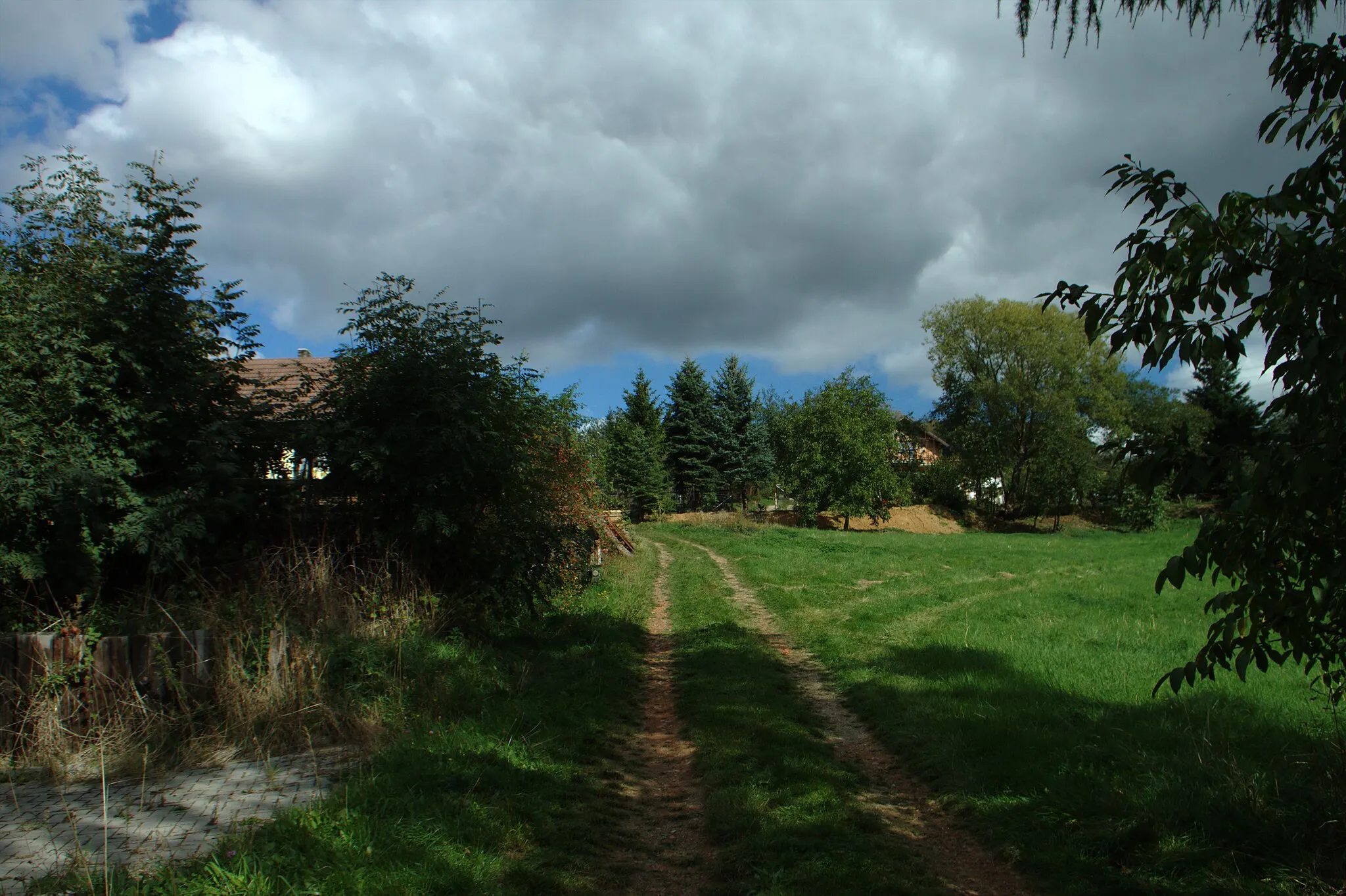 Photo showing: Cottage gardens and a meadow in the village of Phov, Central Bohemia, CZ