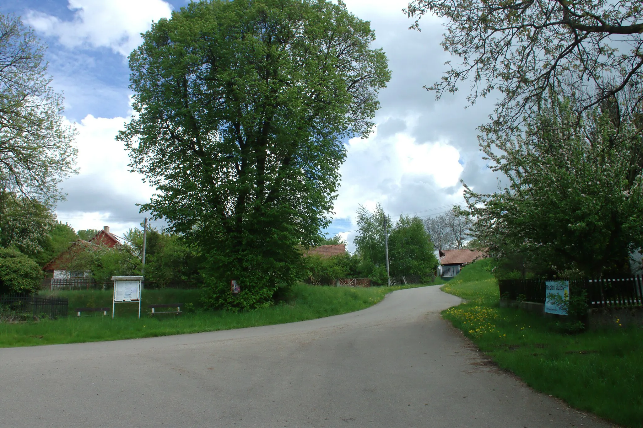 Photo showing: A common in Kácova Lhota, Central Bohemian Region, CZ