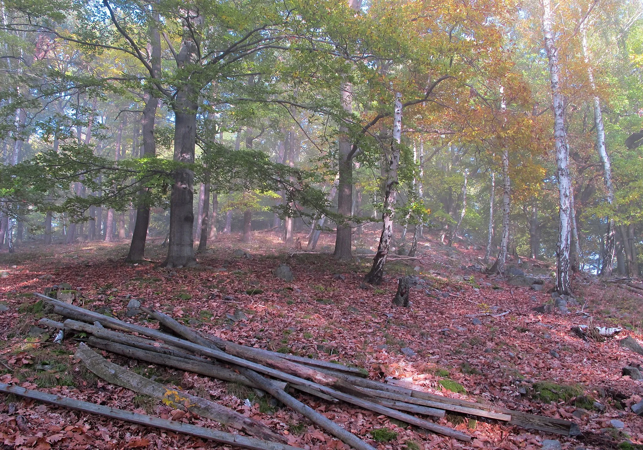 Photo showing: Nature reserve Hradec near Dobříš in Příbram District in Czech Republic