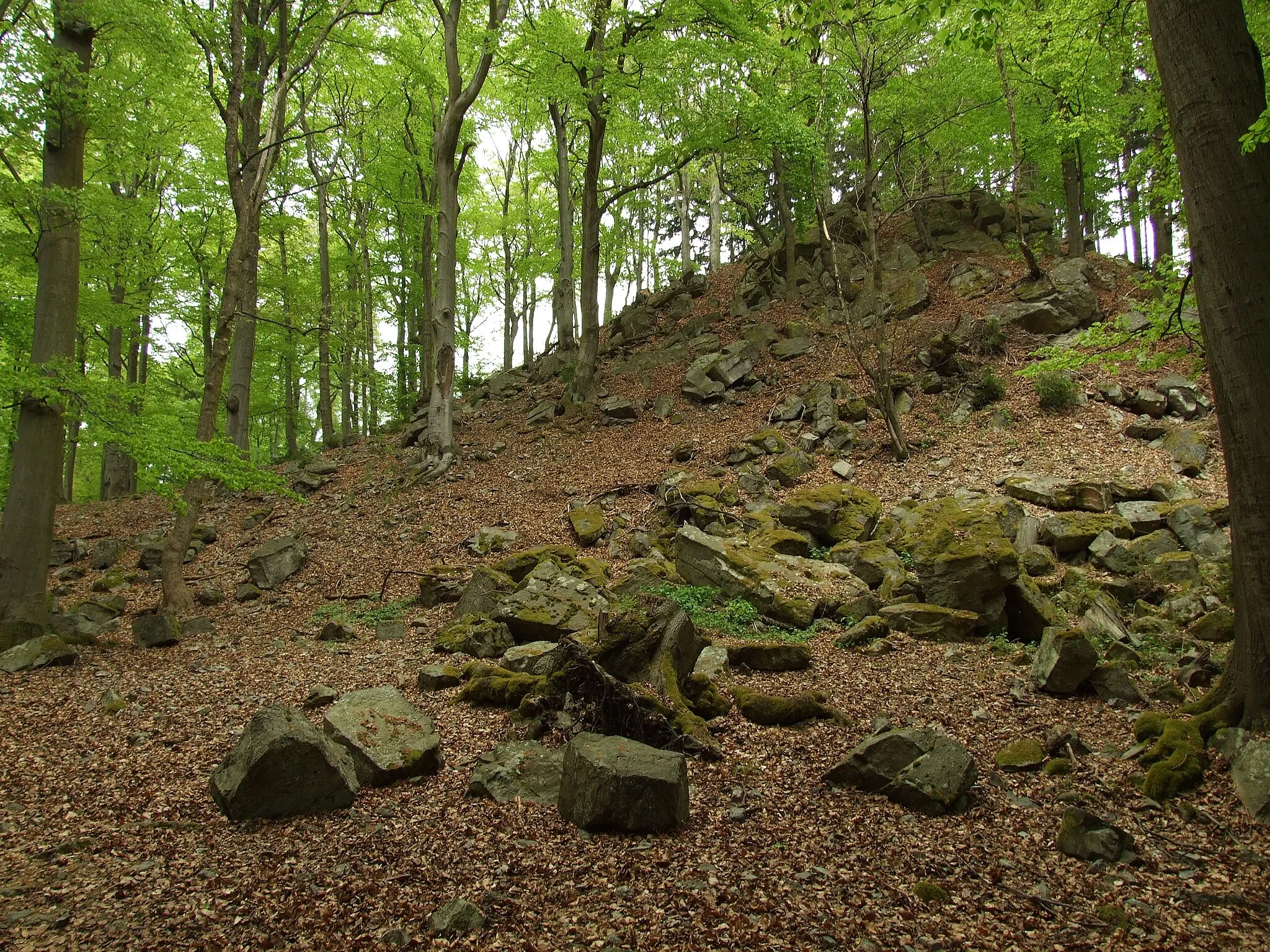 Photo showing: Nature and people in central part of Brdy between Mníšek pod Brdy and Dobříš in Central Bohemian region, CZ