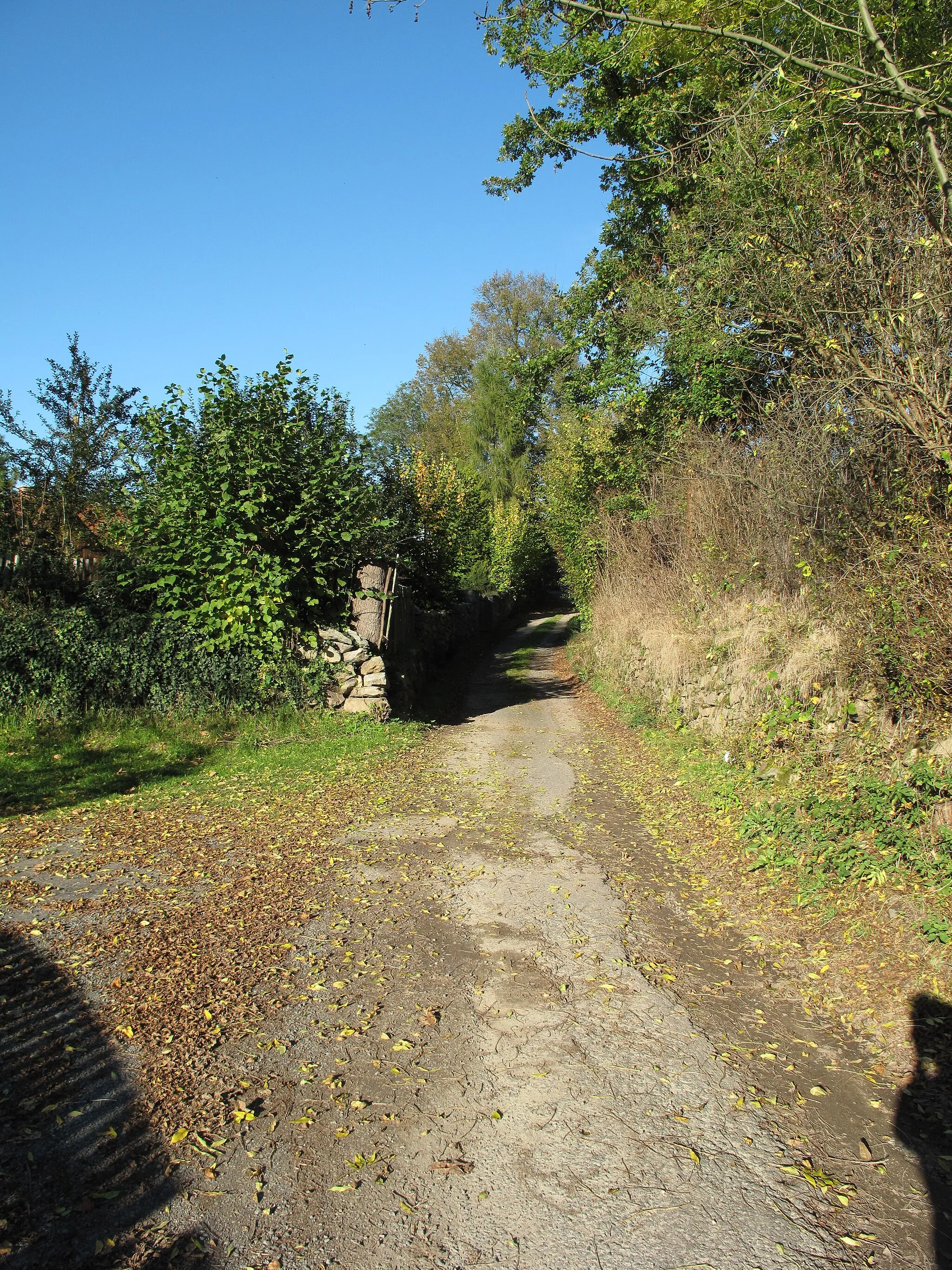 Photo showing: Wayin Malkovice. Příbram District, Czech Republic.