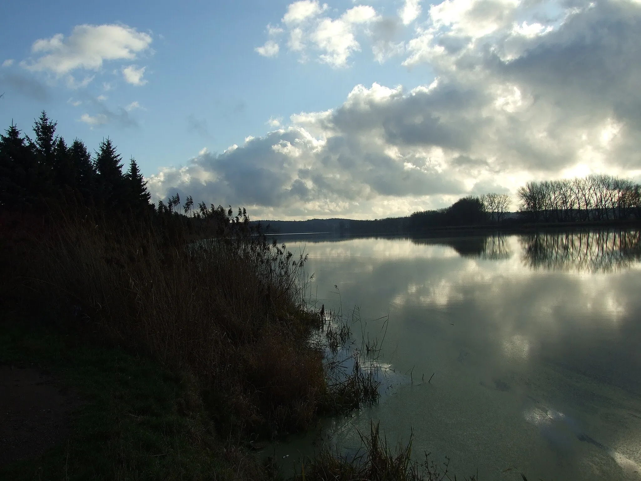 Photo showing: Turyňský rybník pond located between Srby and Kamenné Žehrovice villages, Central Bohemian Region, CZ