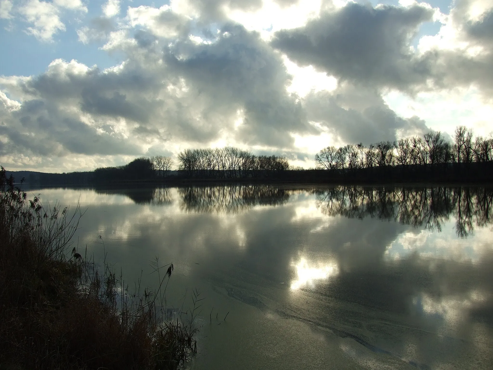 Photo showing: Turyňský rybník pond located between Srby and Kamenné Žehrovice villages, Central Bohemian Region, CZ