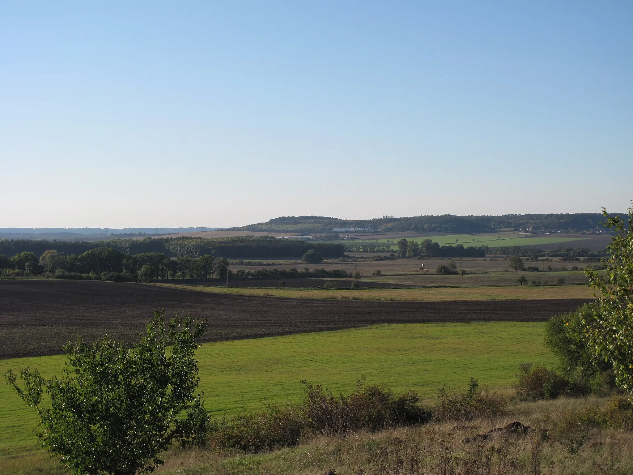 Photo showing: Countriside in the surroundings of Kopeč village, Mělník District, Czech Republic.