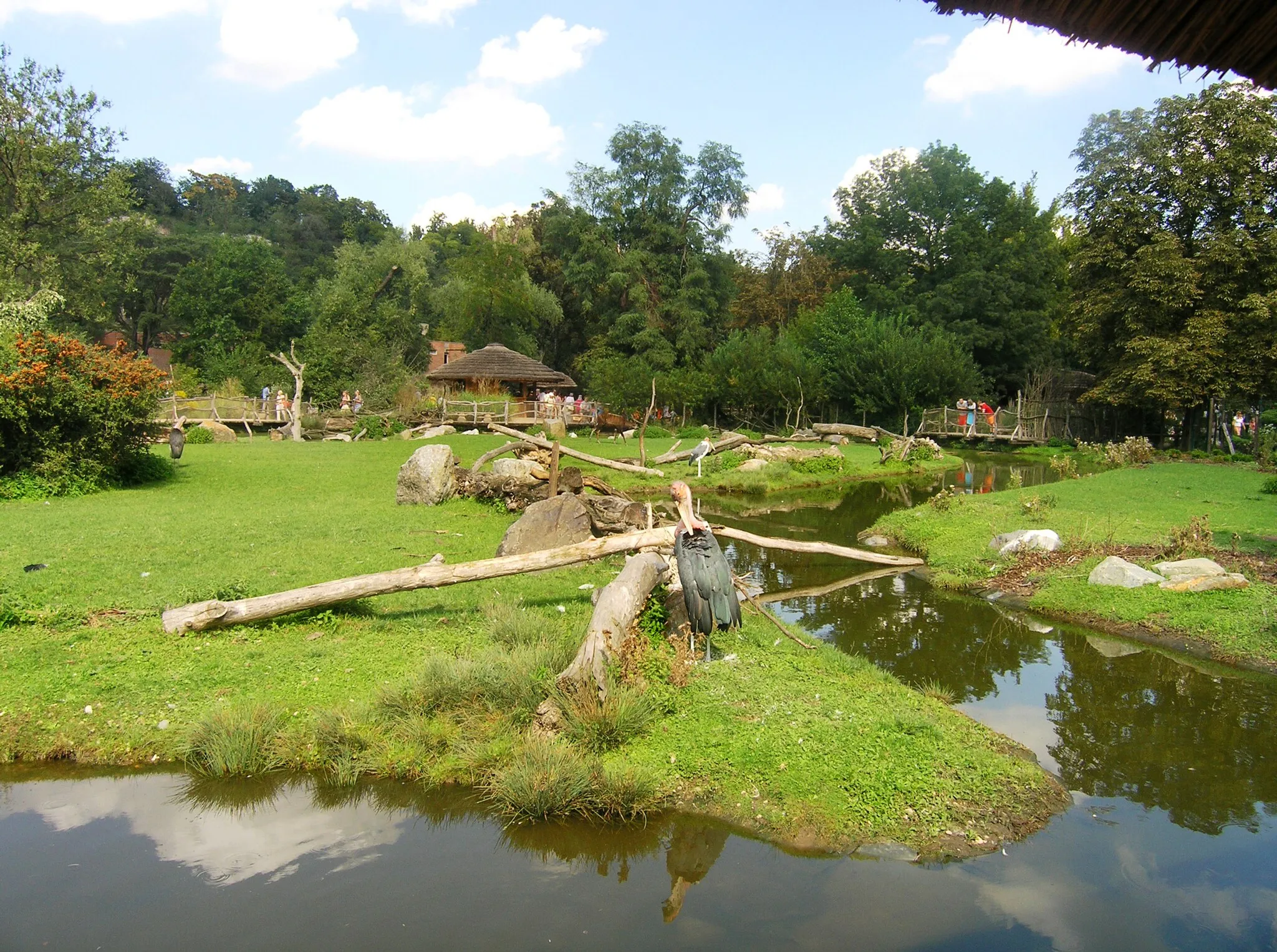 Photo showing: "Water world" in Zoo Prague