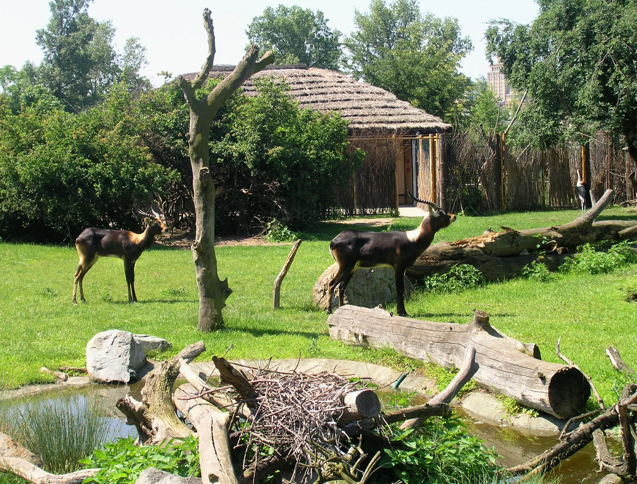 Photo showing: "Water world" in Zoo Prague