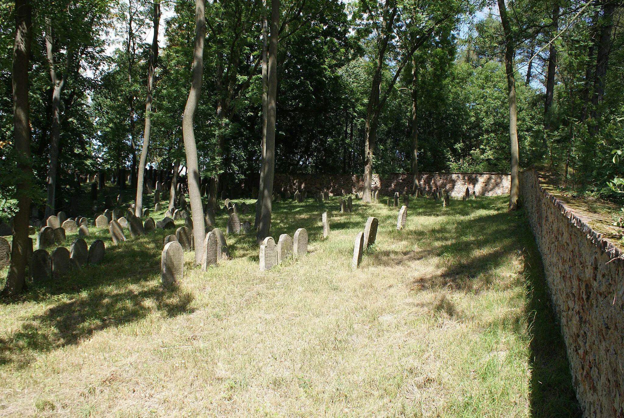 Photo showing: Jewish cemetery in Kamenná, Příbram district, Czech Republic.